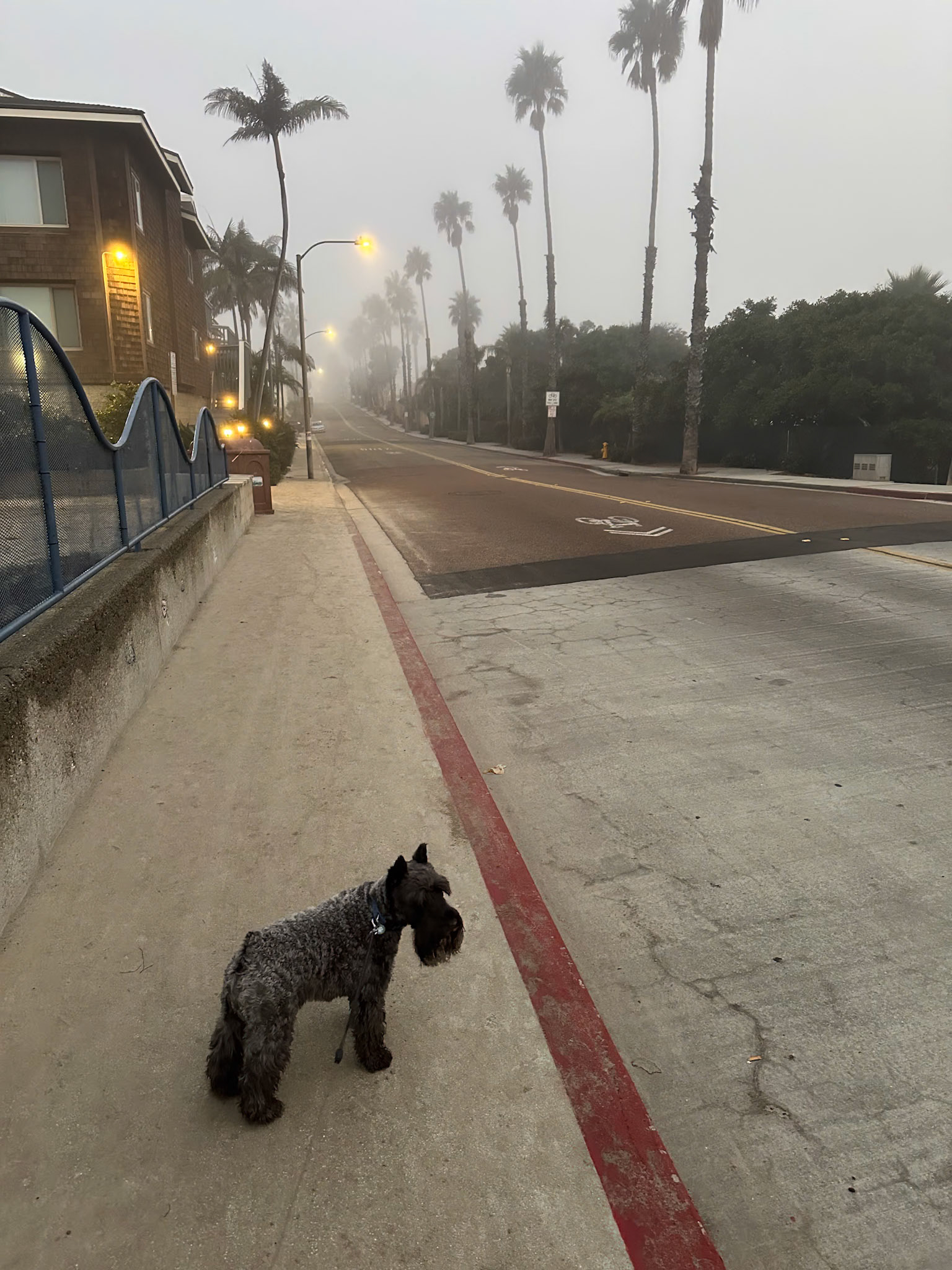 Early morning Tripp walk