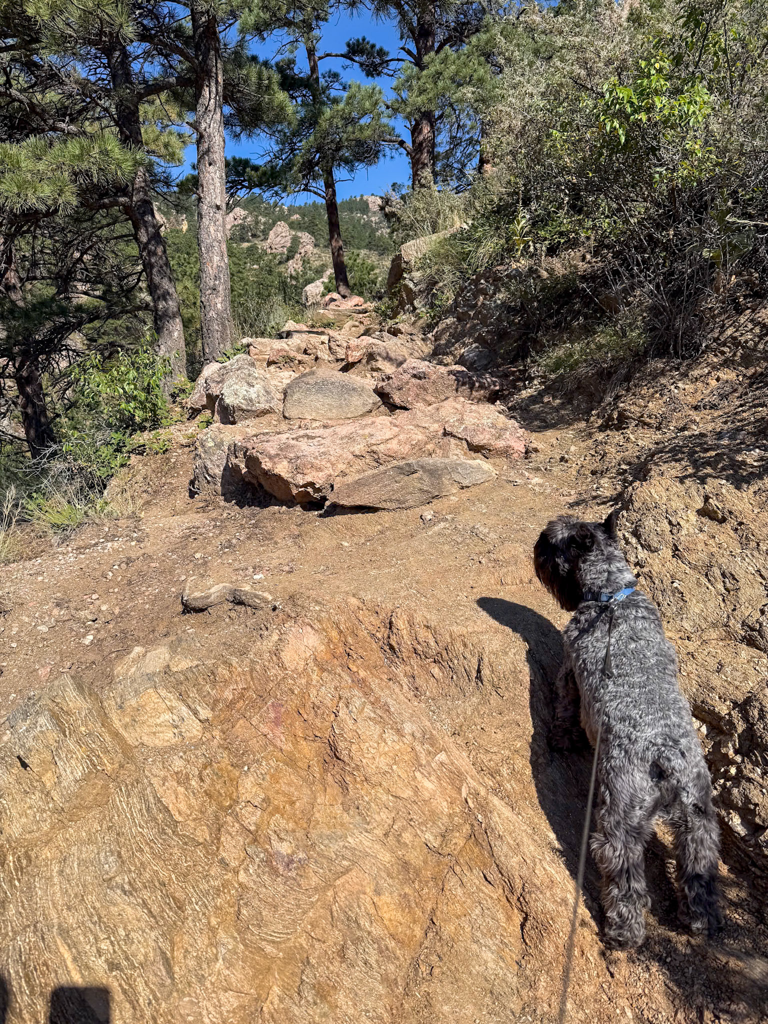 Horsetooth Falls w/o water