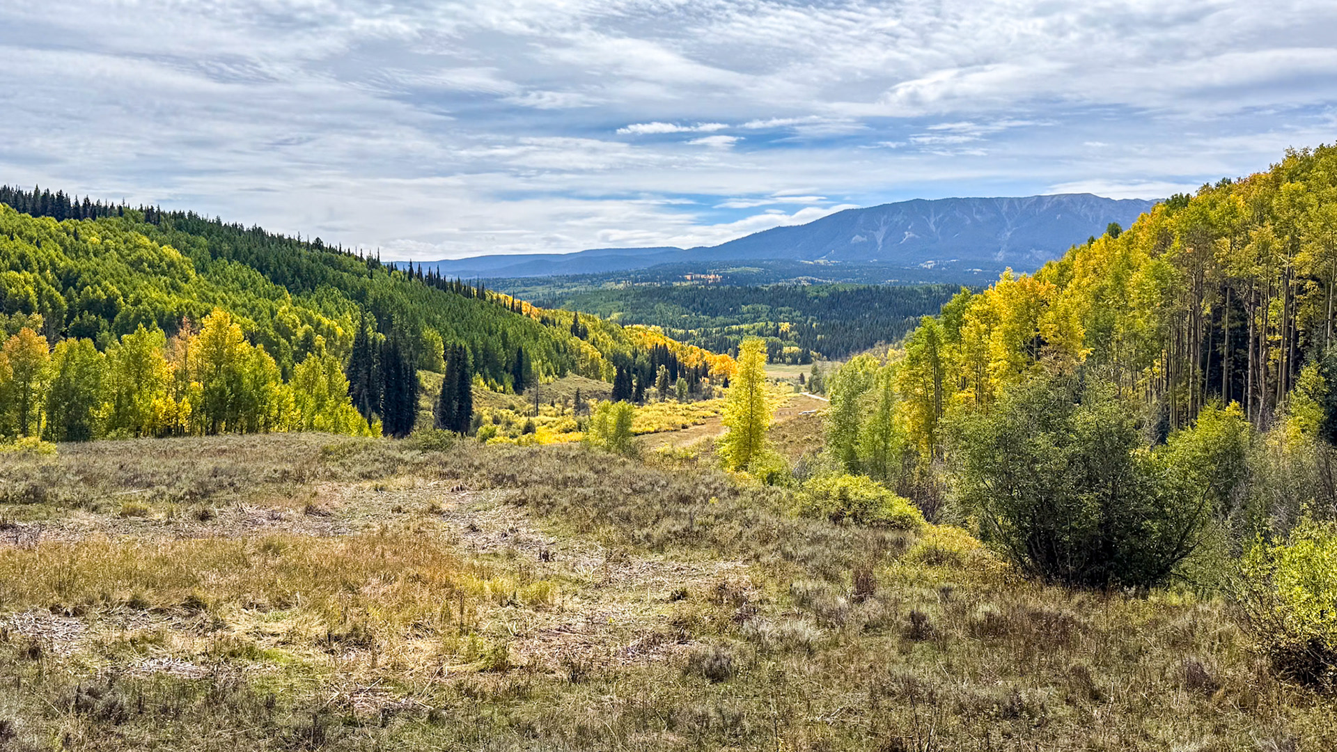 Ohio Pass near Crested Butte