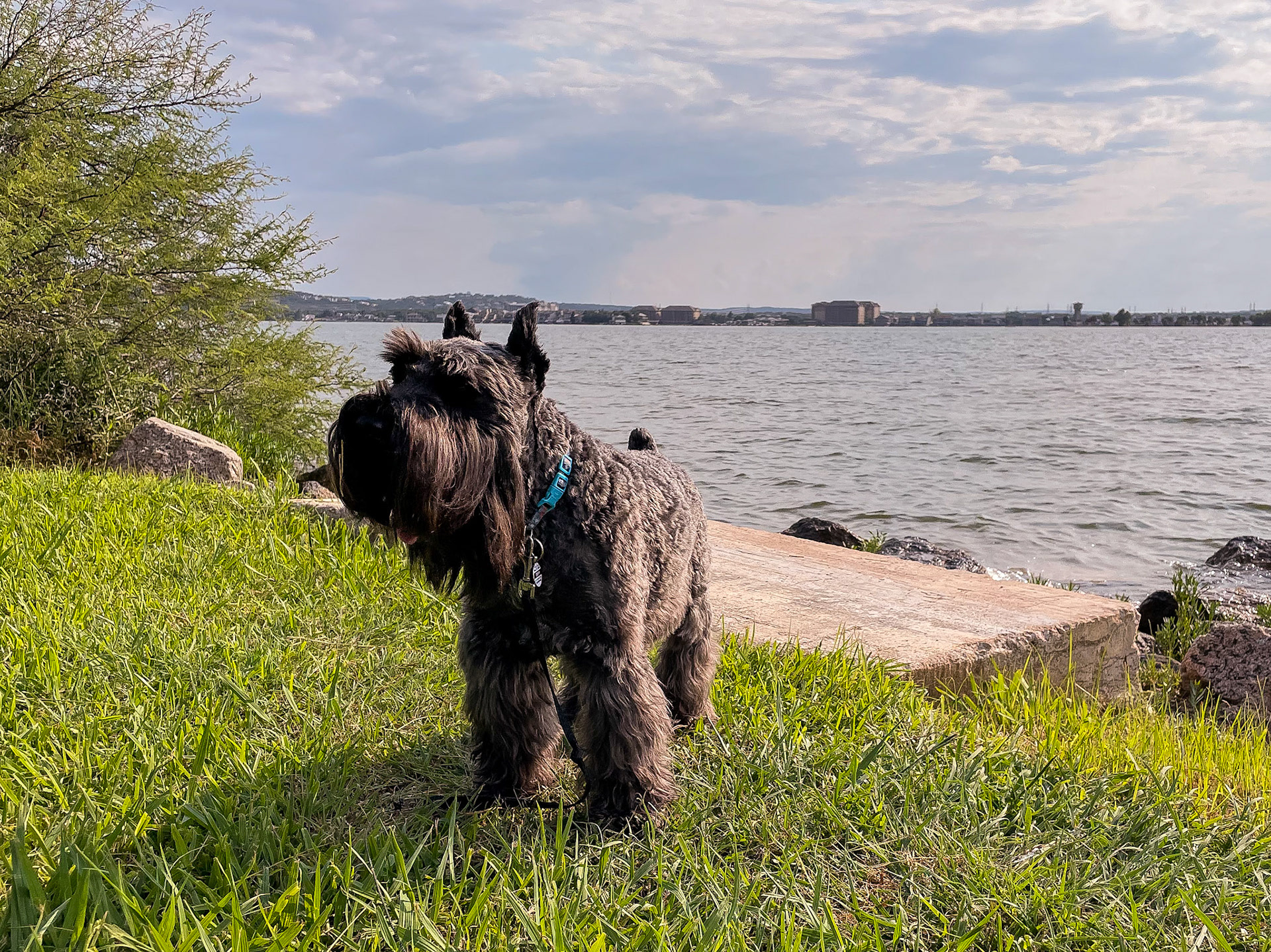 Tripp enjoying his time on Lake LBJ