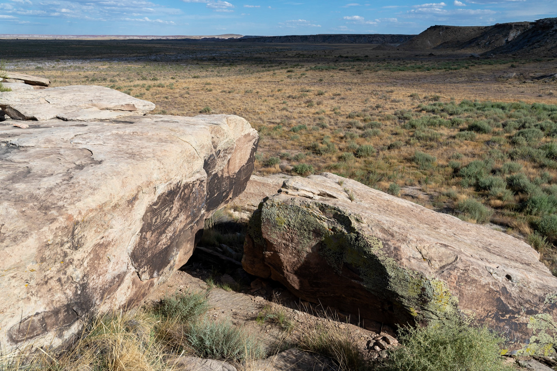 Petrogylphs on the rocks in the Petrified National Park