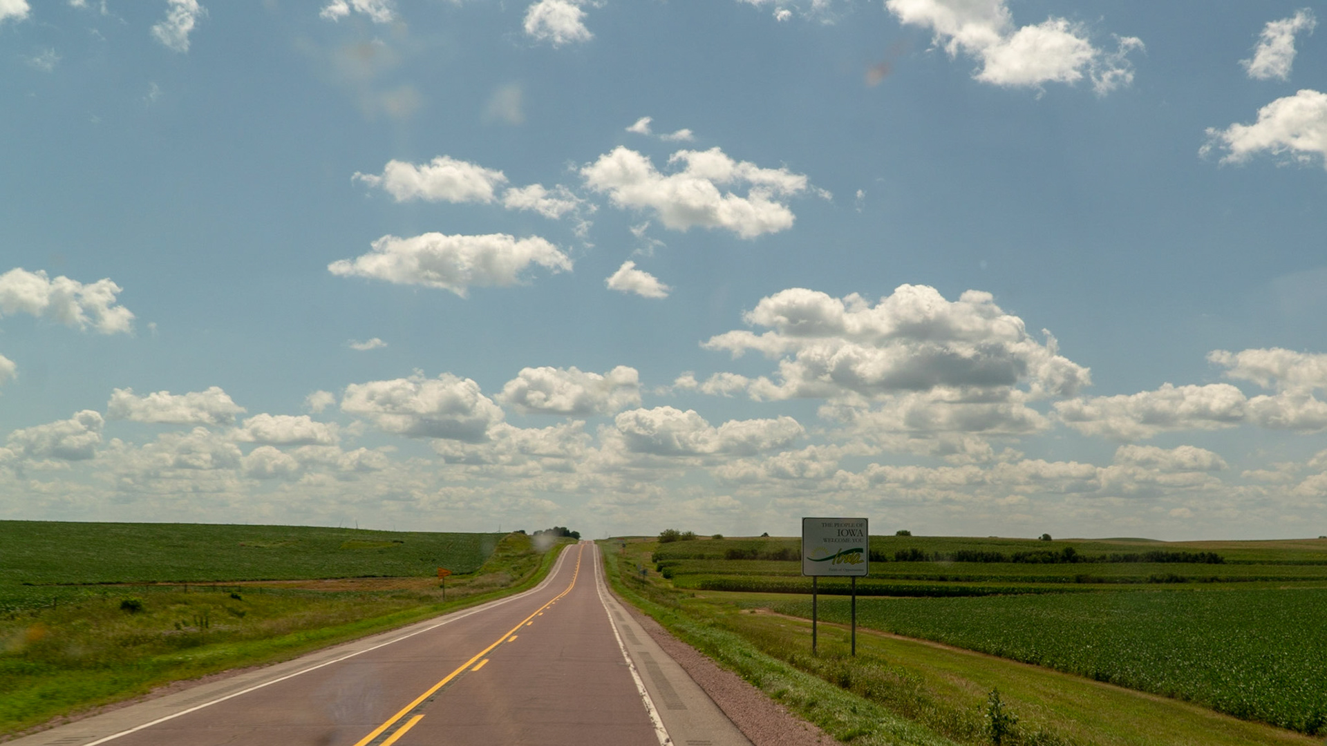 Iowa cornfields