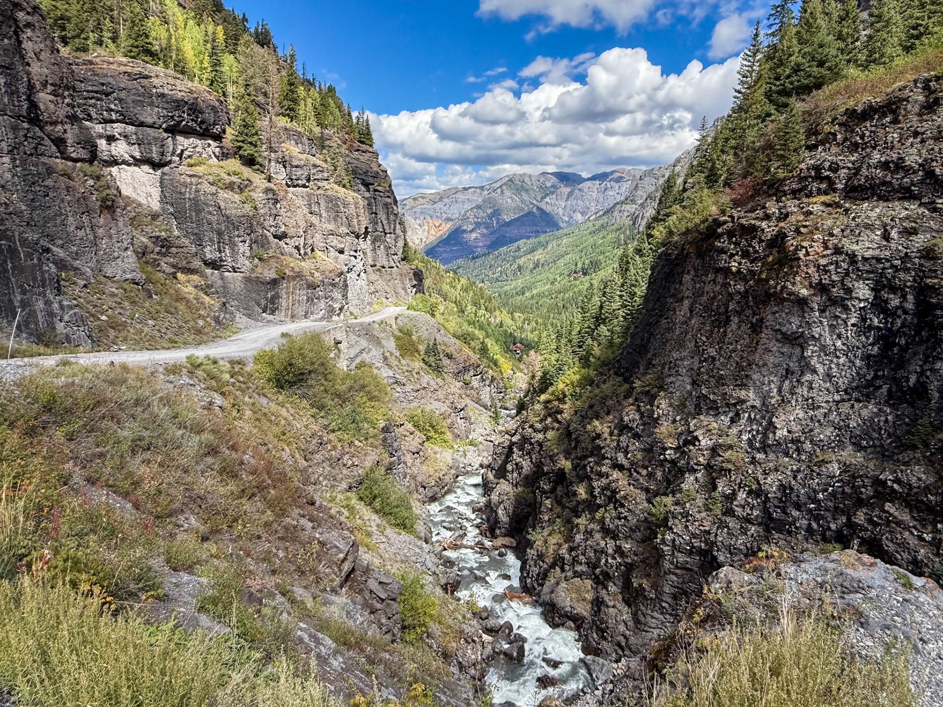 Canyon Creek along Yankee Boy Trail