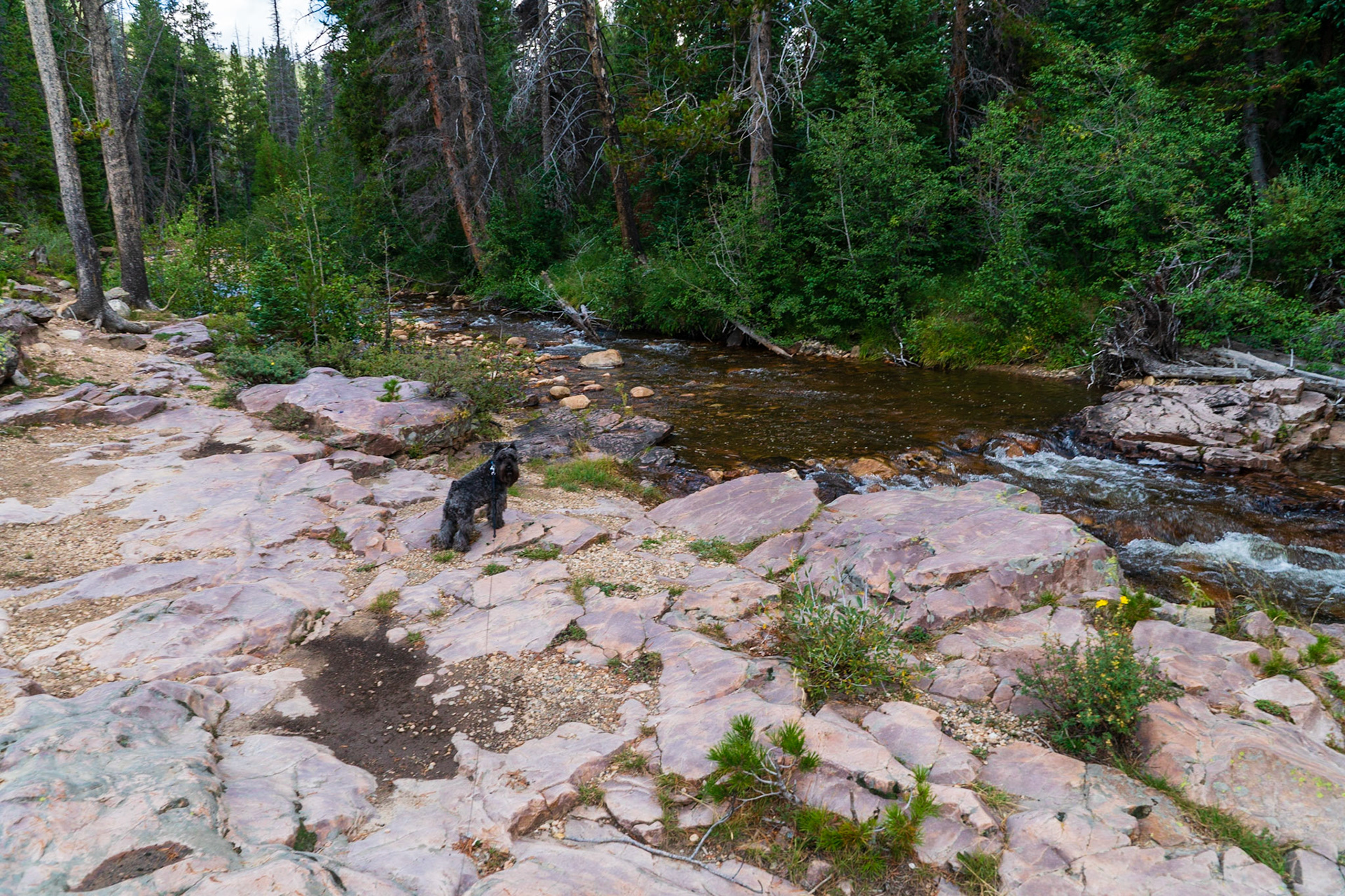 Provo River in the Uinta Mountains