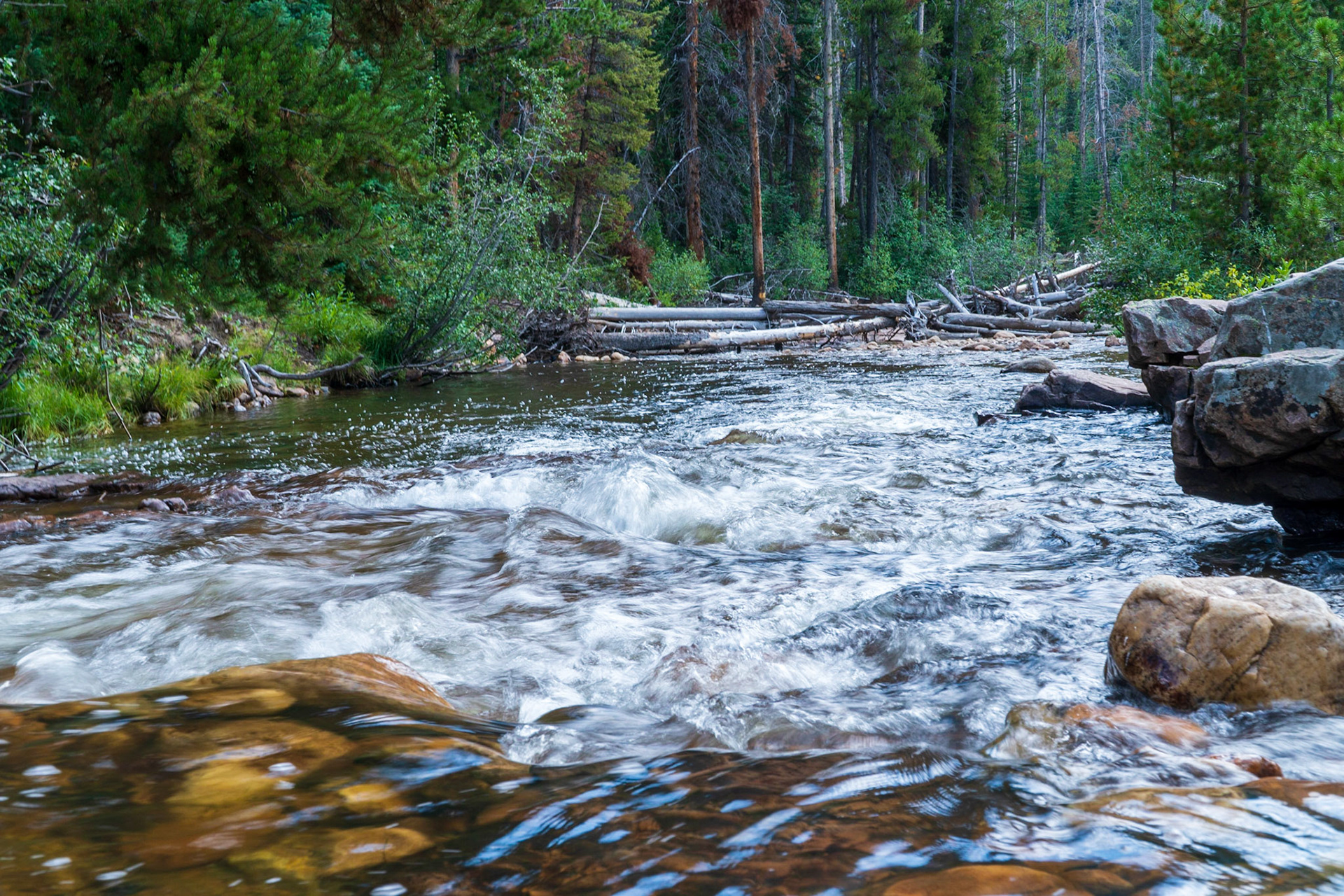 Provo River
