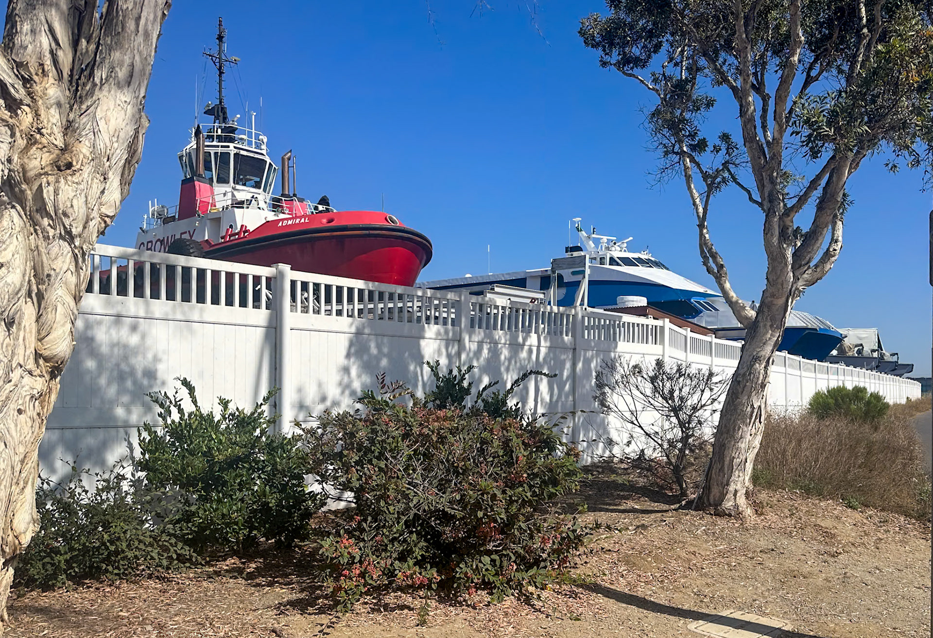 The marina along the waling trail