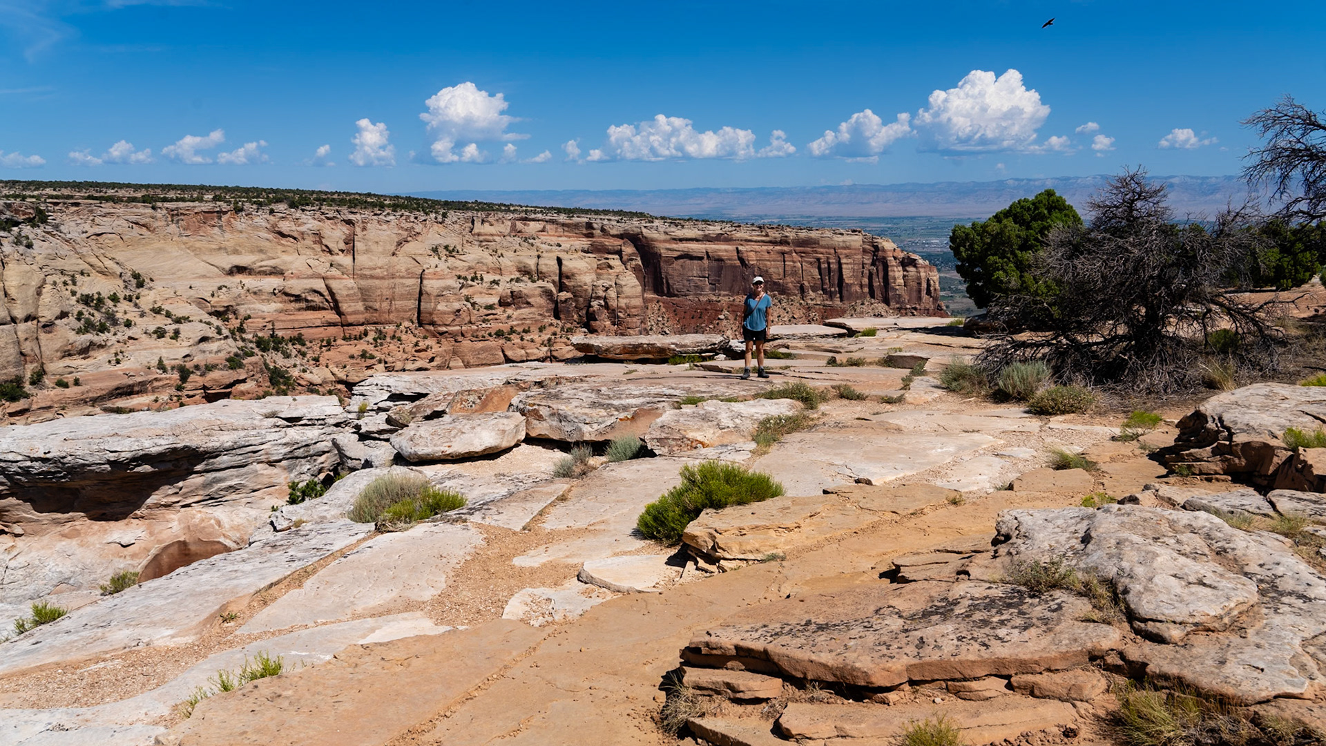 Colorado National Monument
