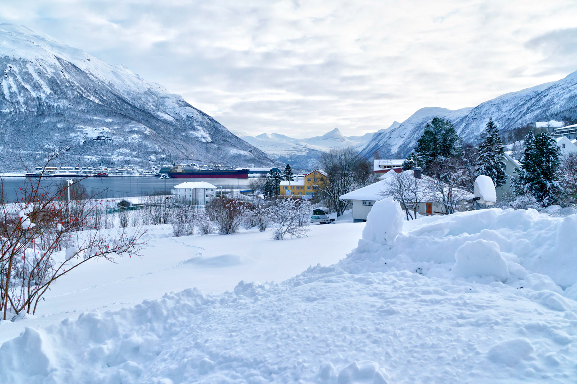 Scenic spot along our Narvik bus tour