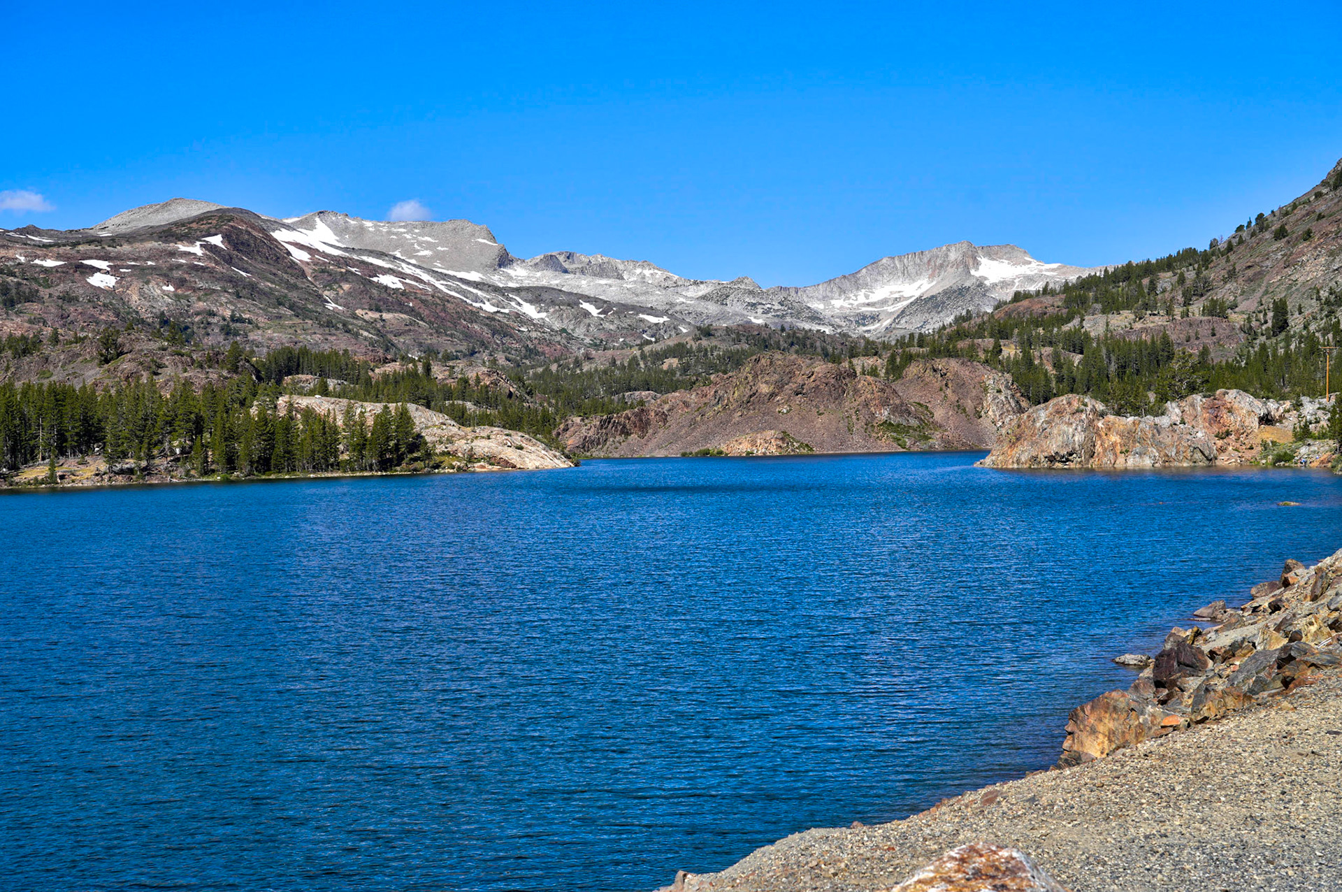 Ellery Lake along Tioga Pass Road