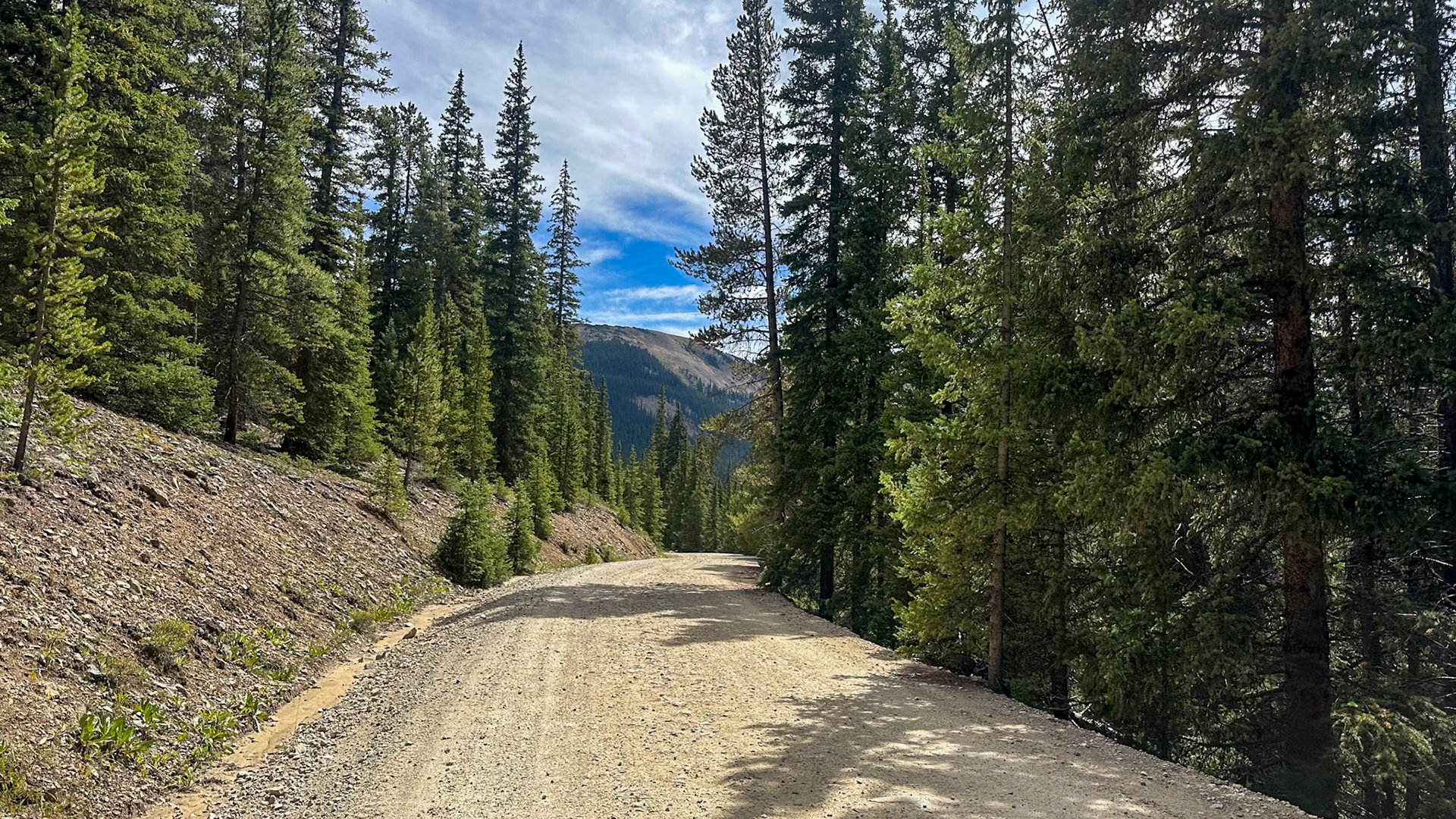Down to the treeline