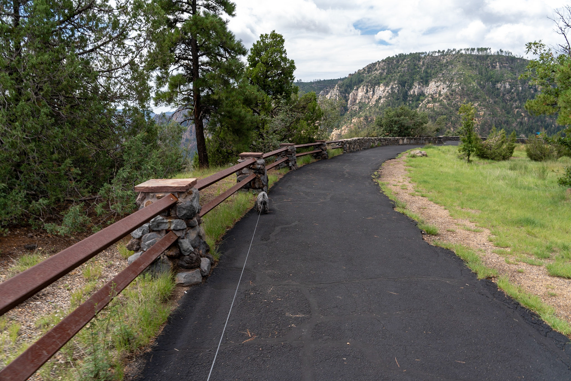 Tripp leading the way, as usual