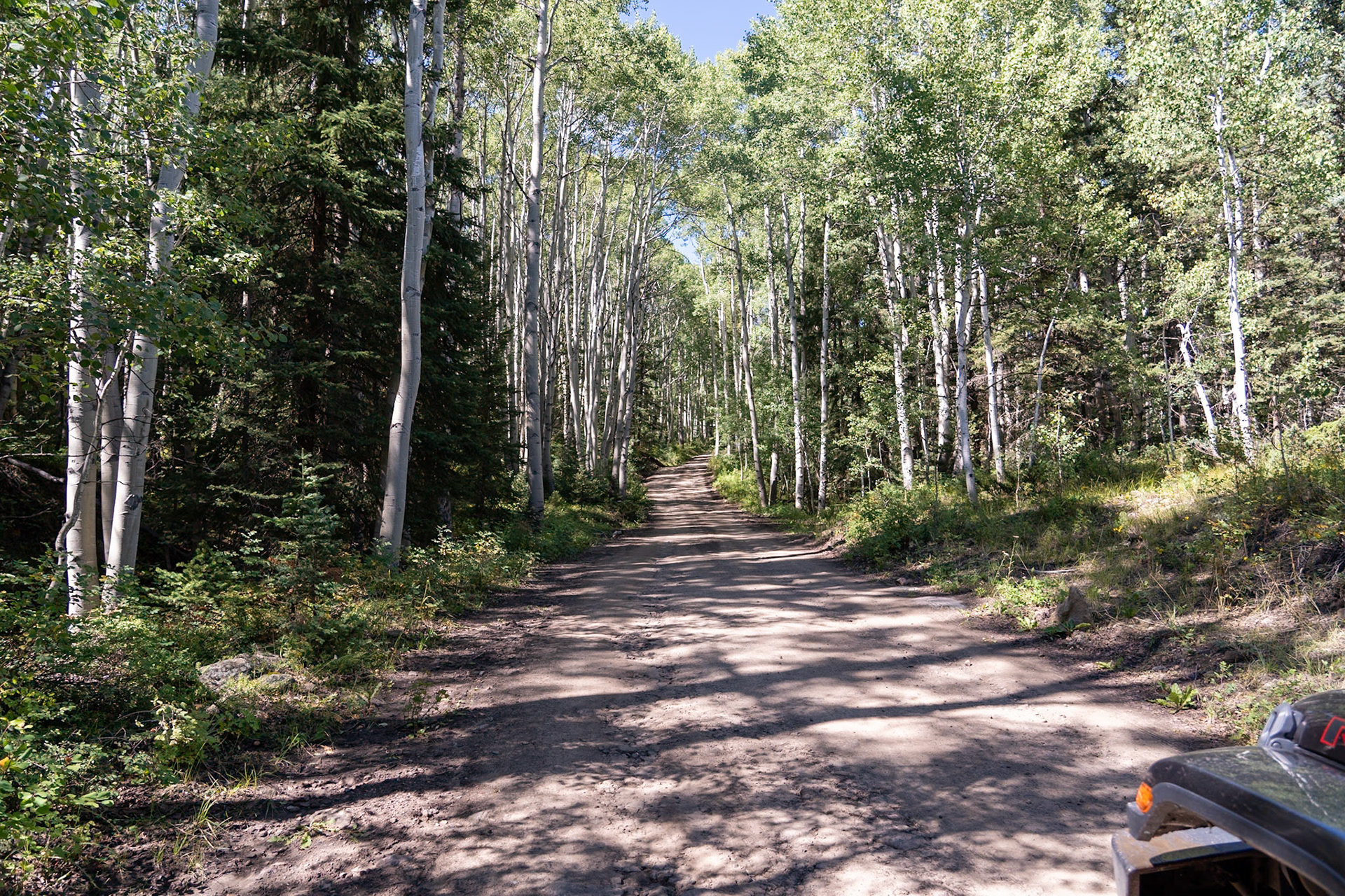 Trail to Mill Creek