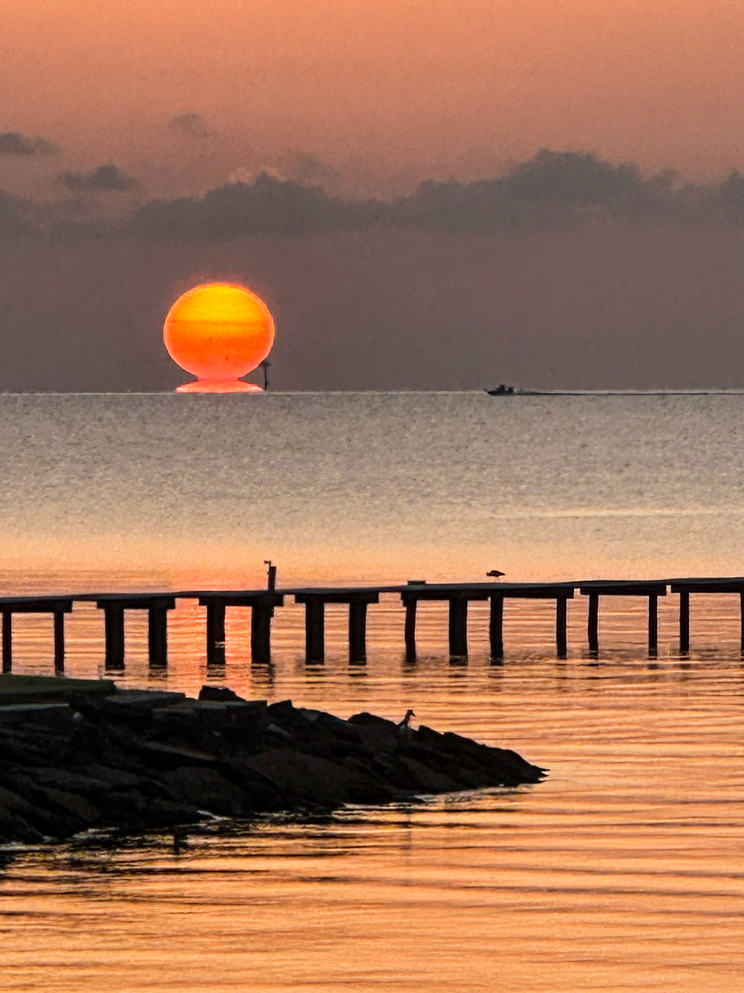 Rare Omega Sunrise
