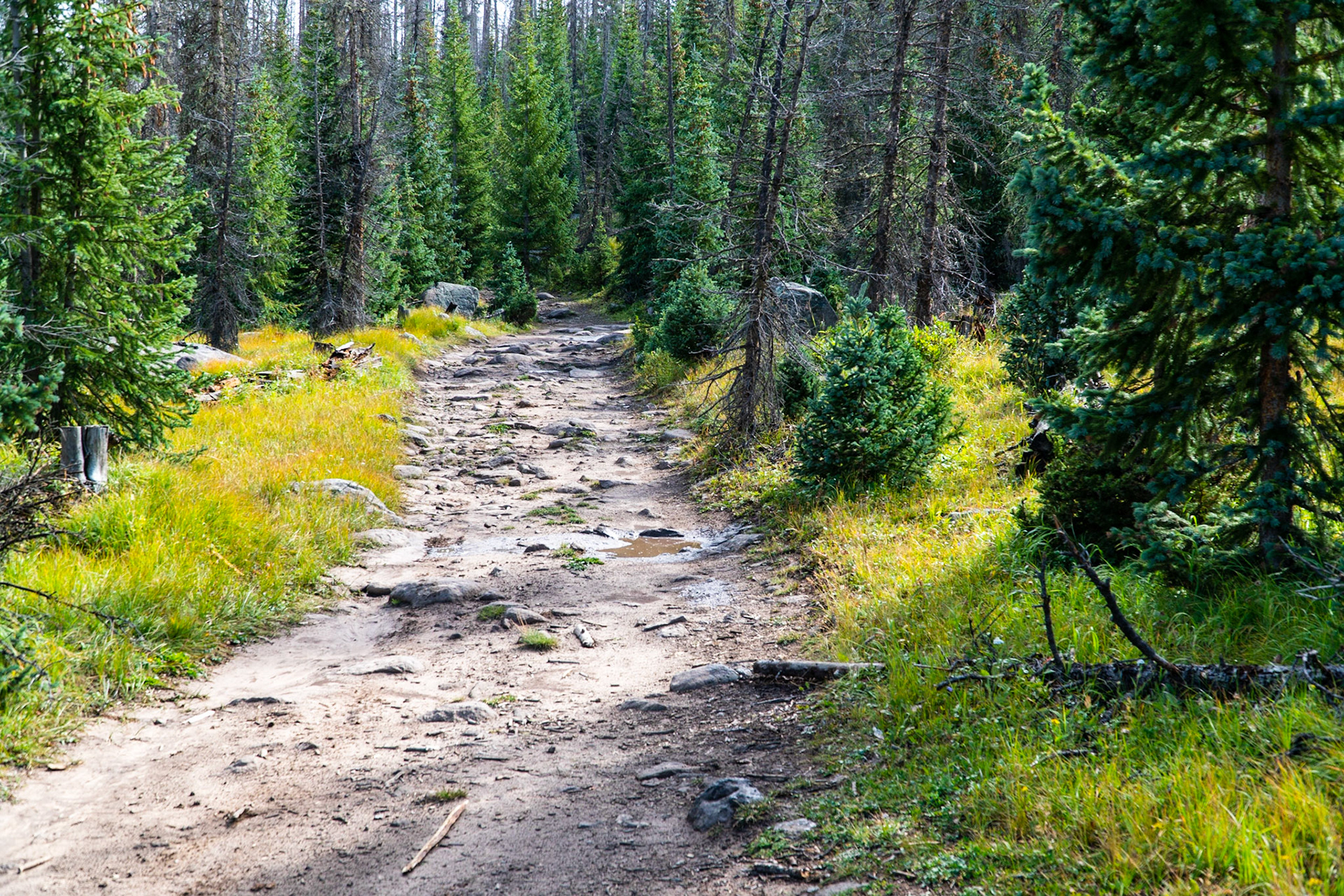 A rough and bumpy trail to Copper Falls