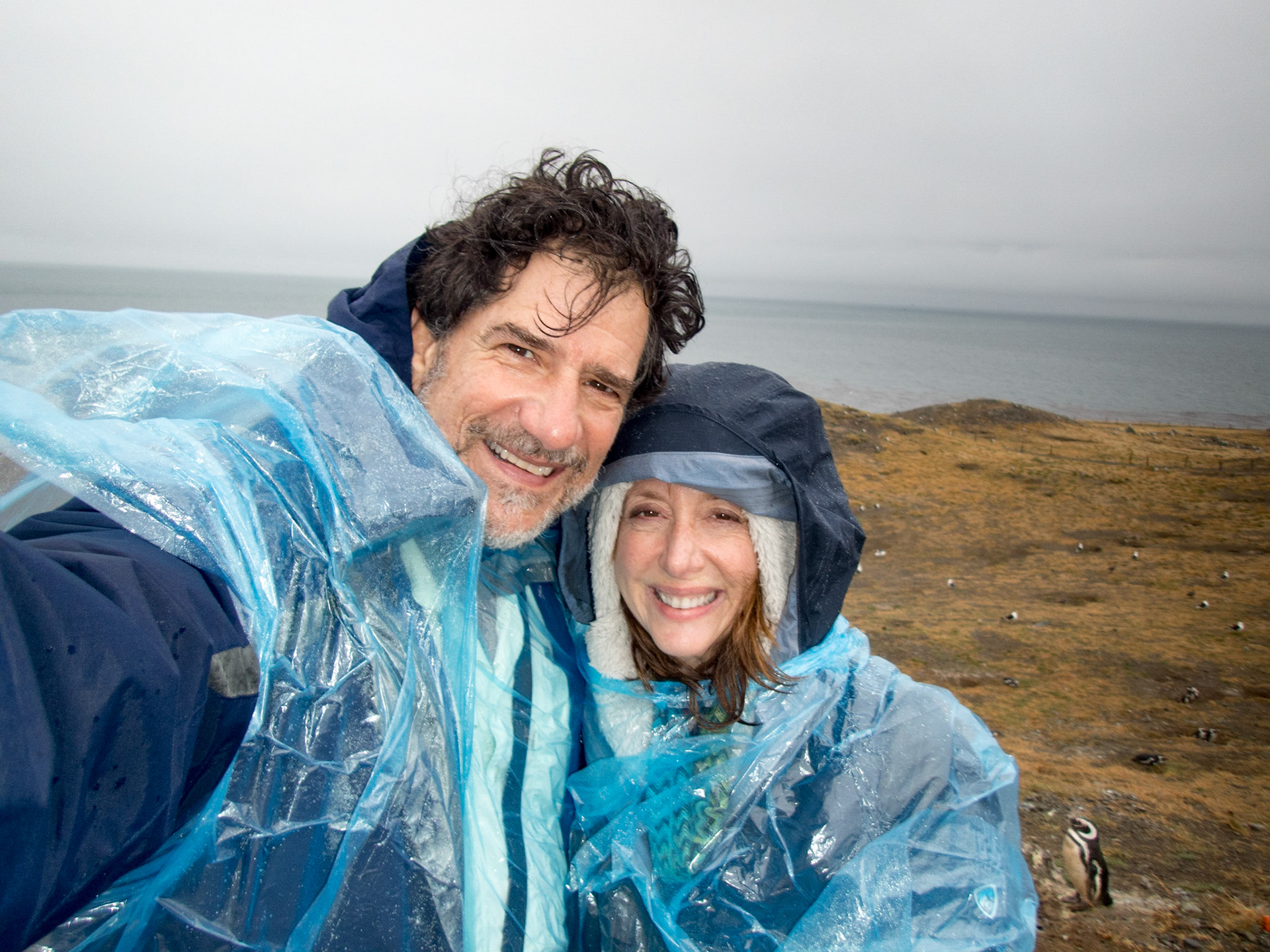 Its cold, windy and rainy with the Magellanic penguins