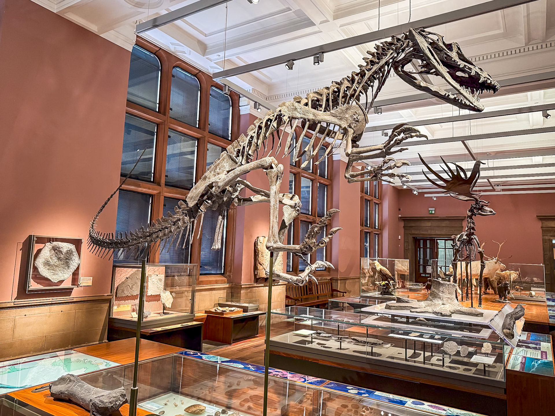 Kelvingrove Museum in Glasgow