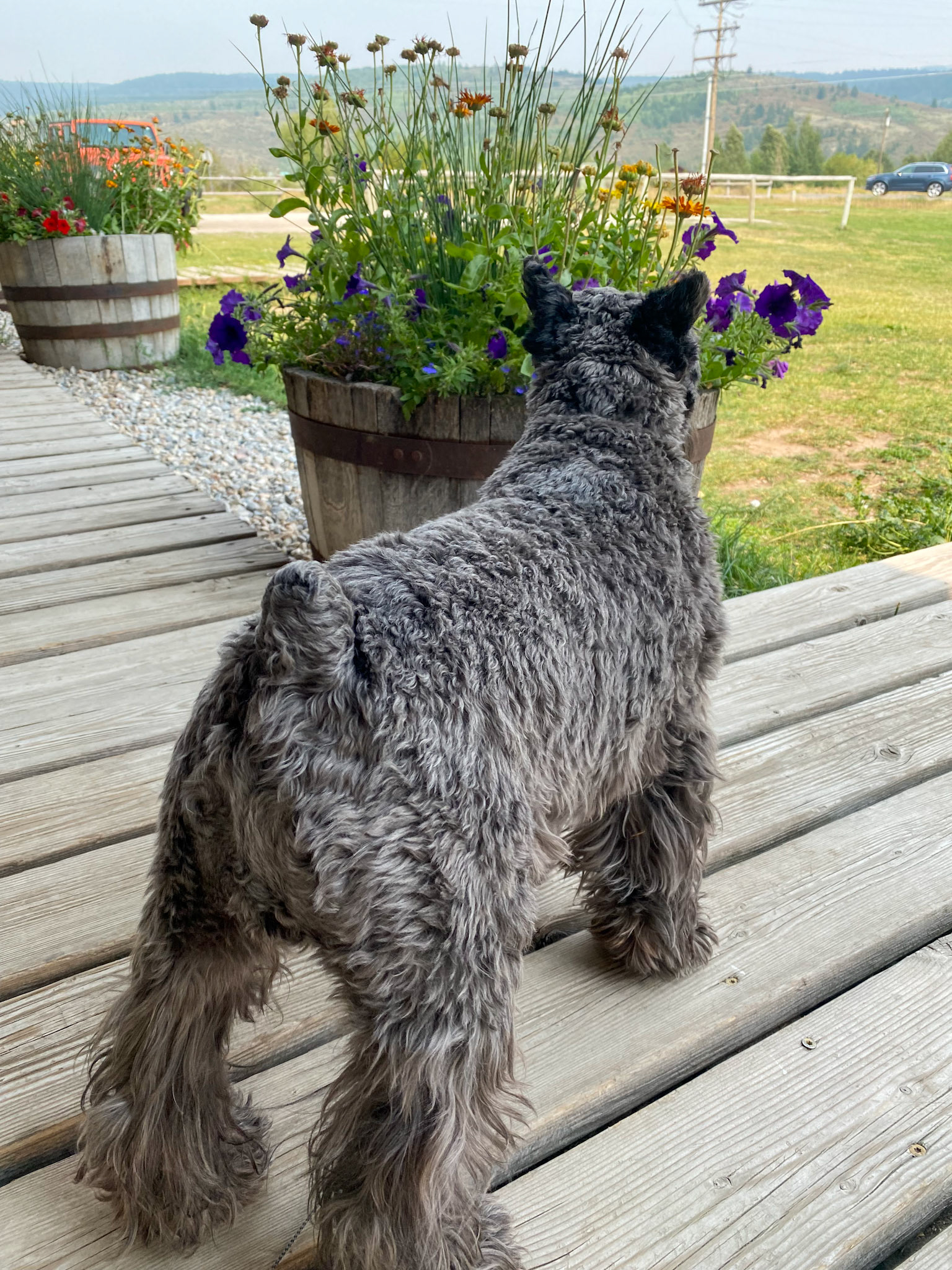 Tripp is always on the lookout