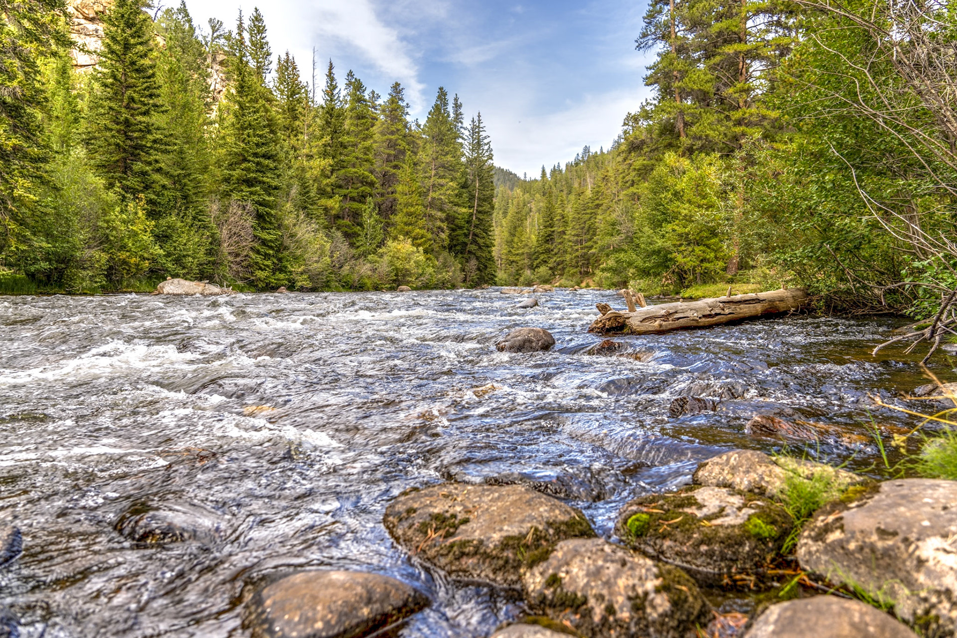 Taylor River