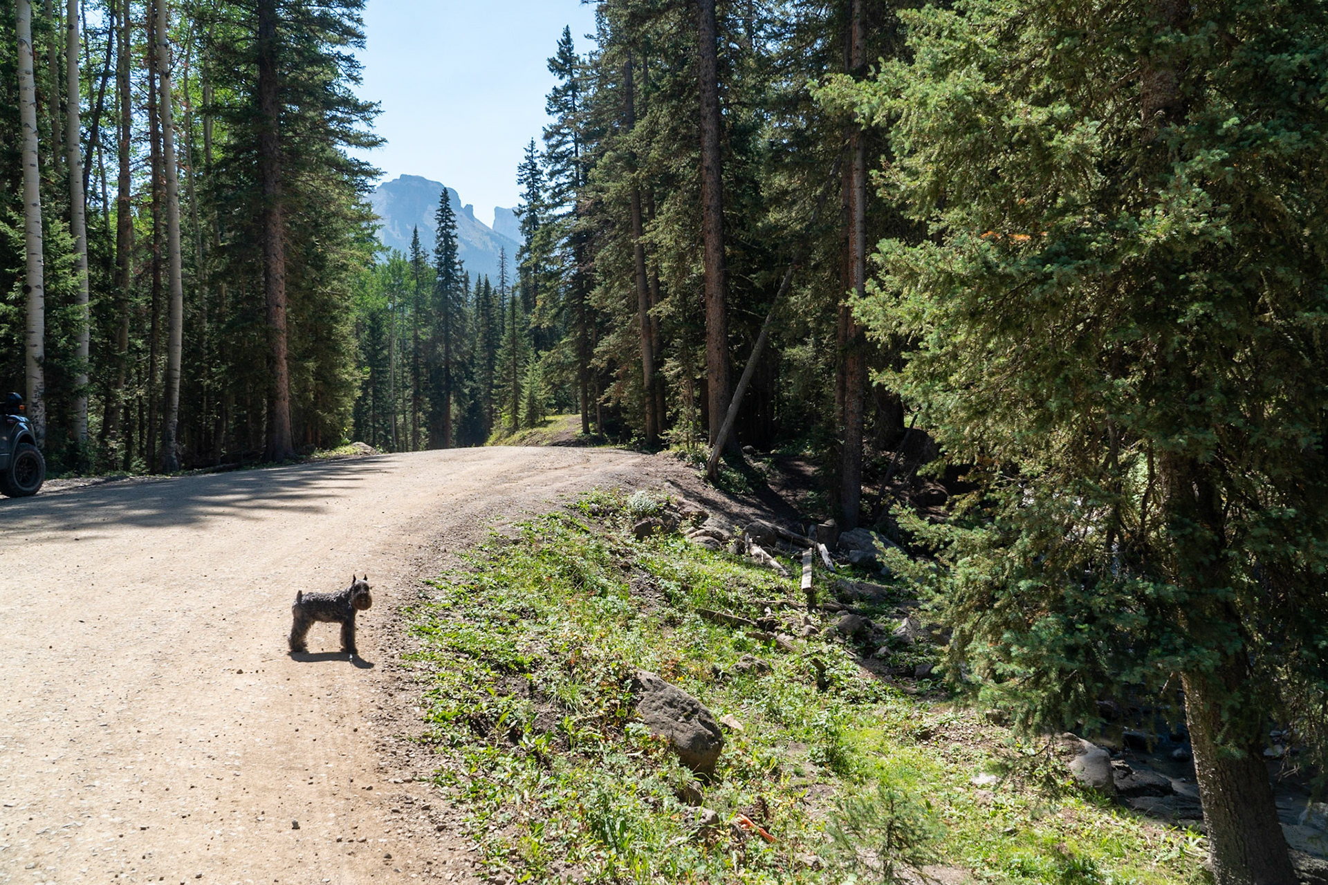 Tripp leads the way, as usual