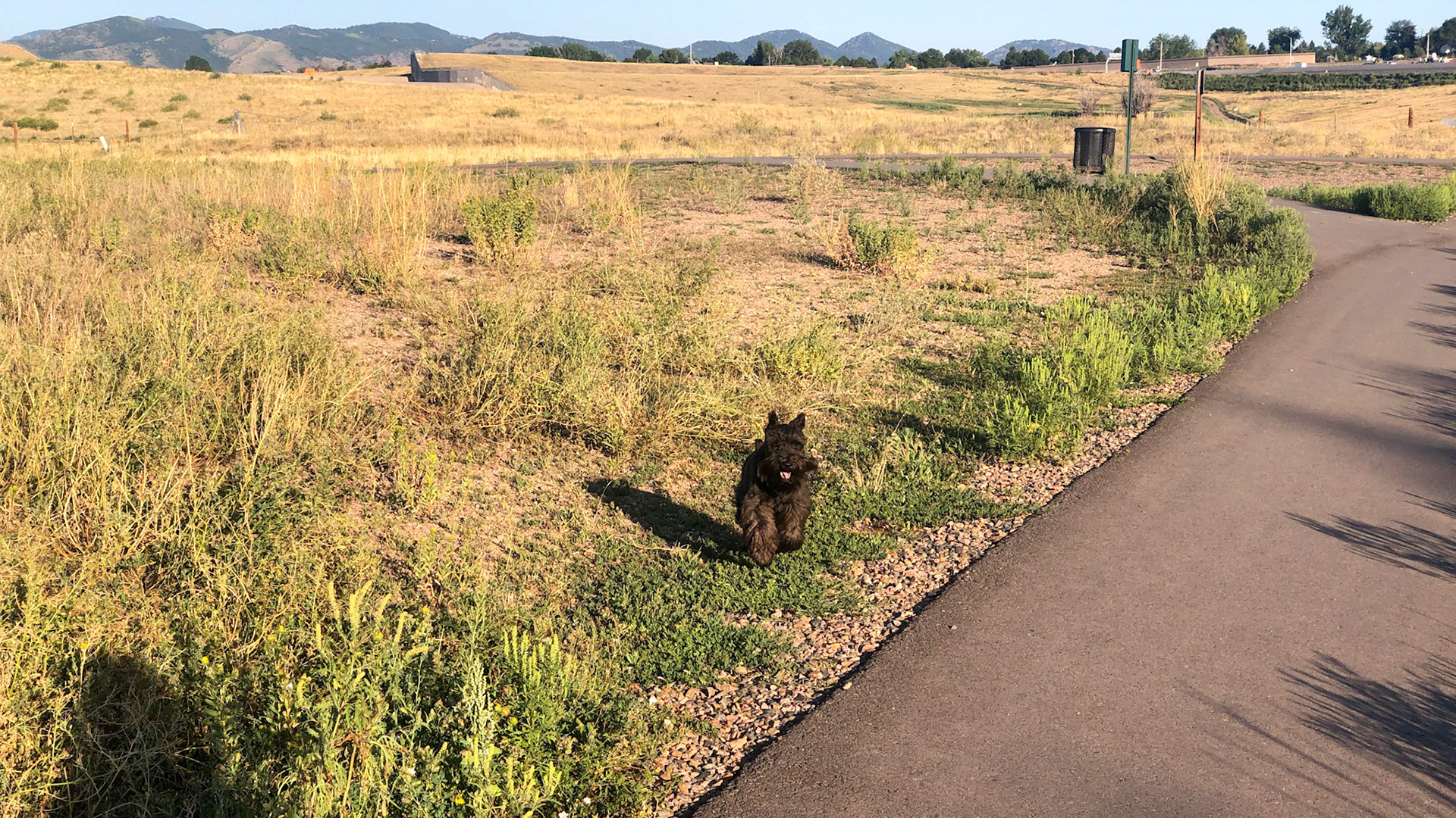 Tripp loves his 69 acre dog park