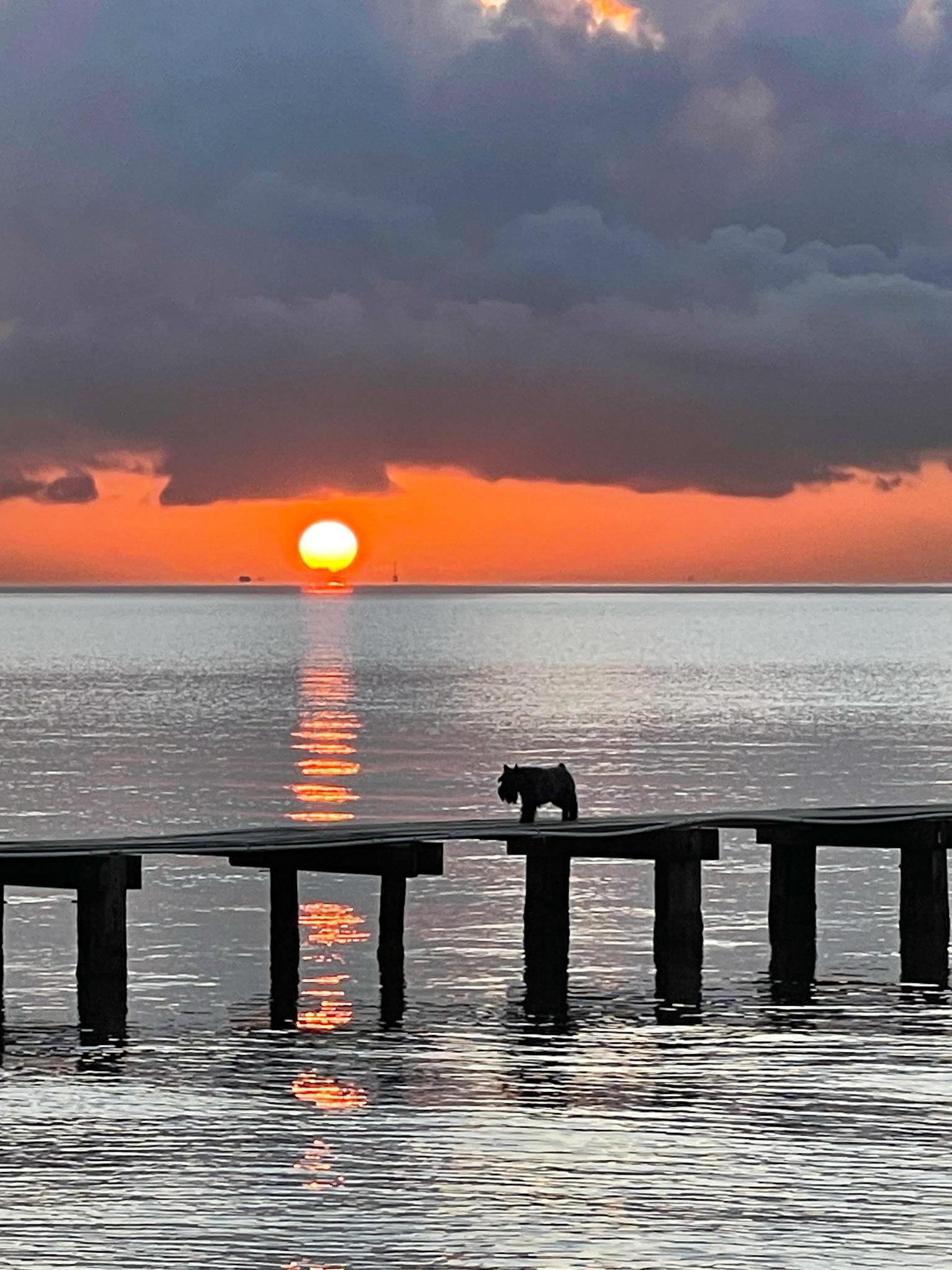 Early Morning Exploring