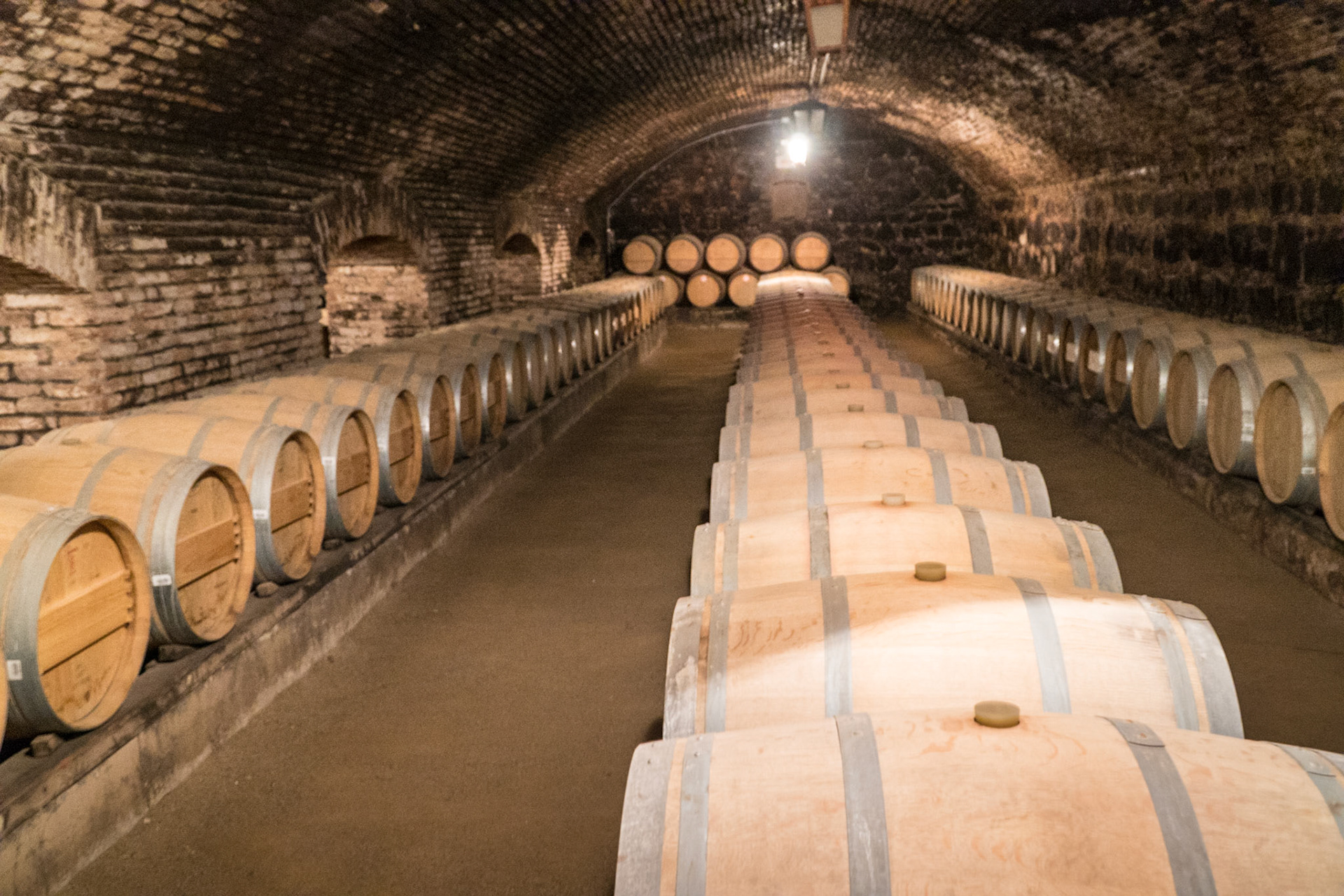 Concho y Toro vineyard Devil's Cellar