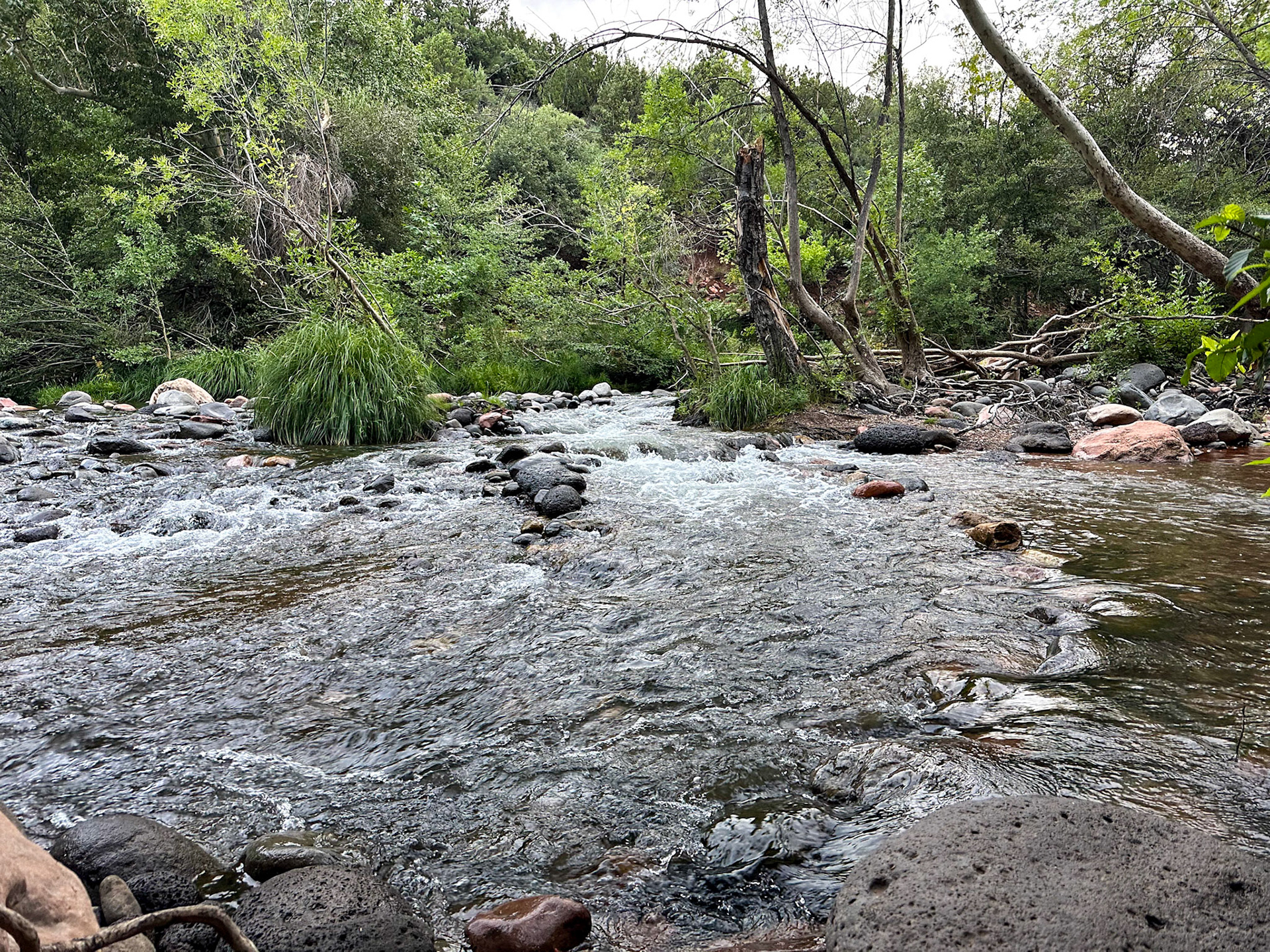 The creek runs behind the RV at Rancho Sedona campground