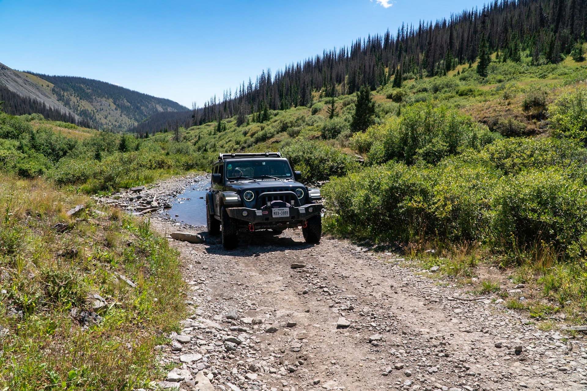 Crossing Willow Creek