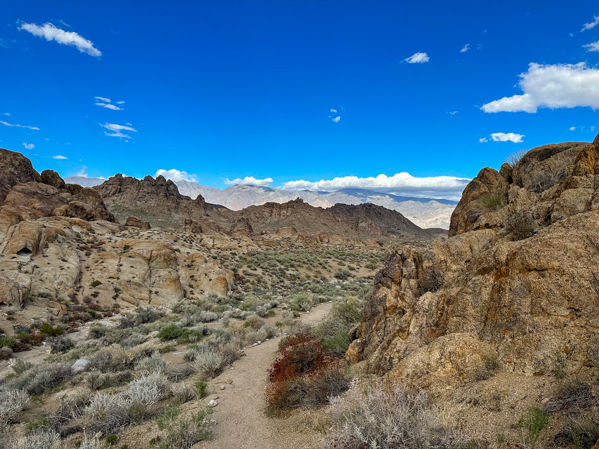 Many Western and SciFi movies were made in this area
