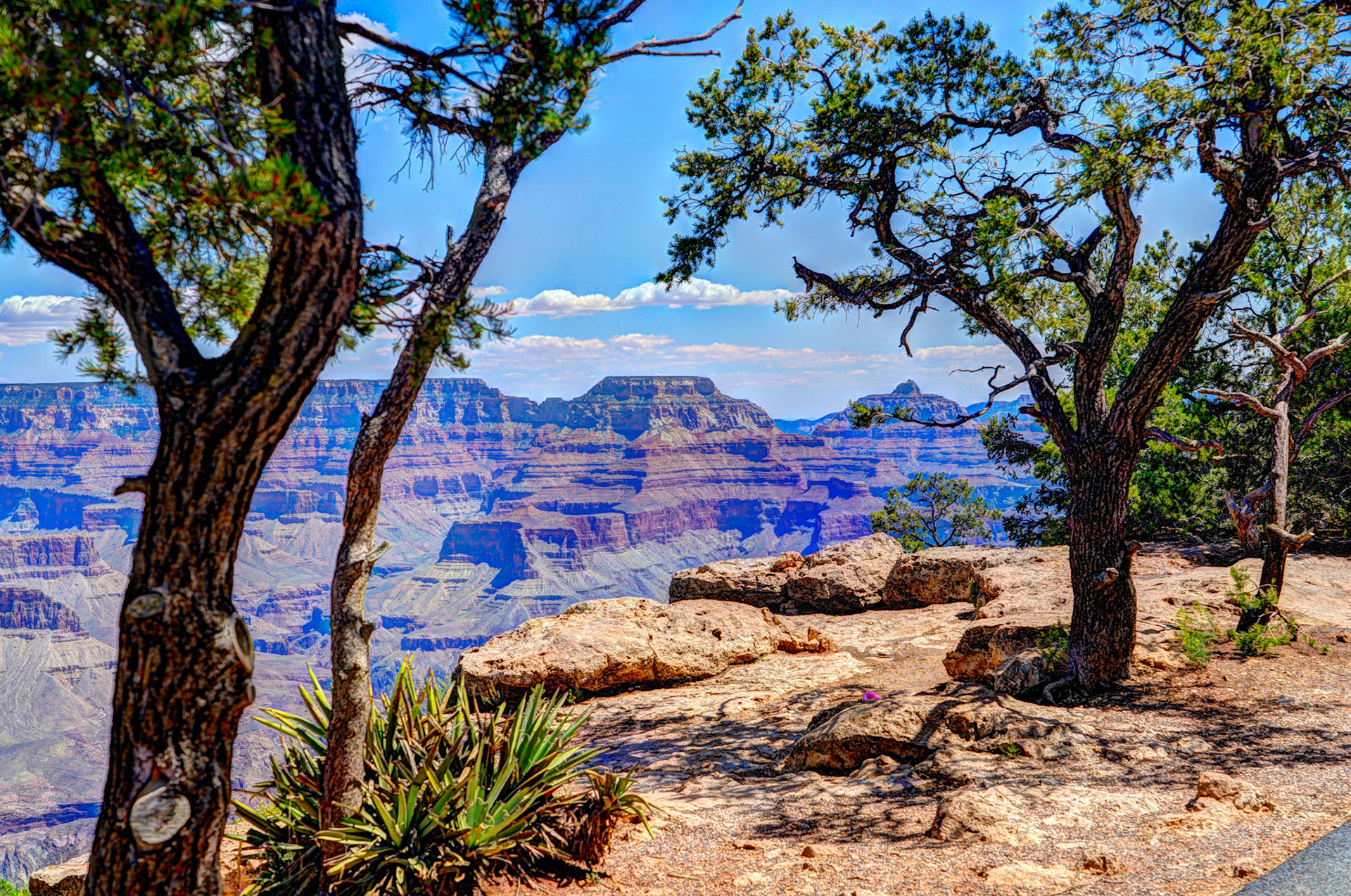 Yavapai at the Grand Canyon South Rim