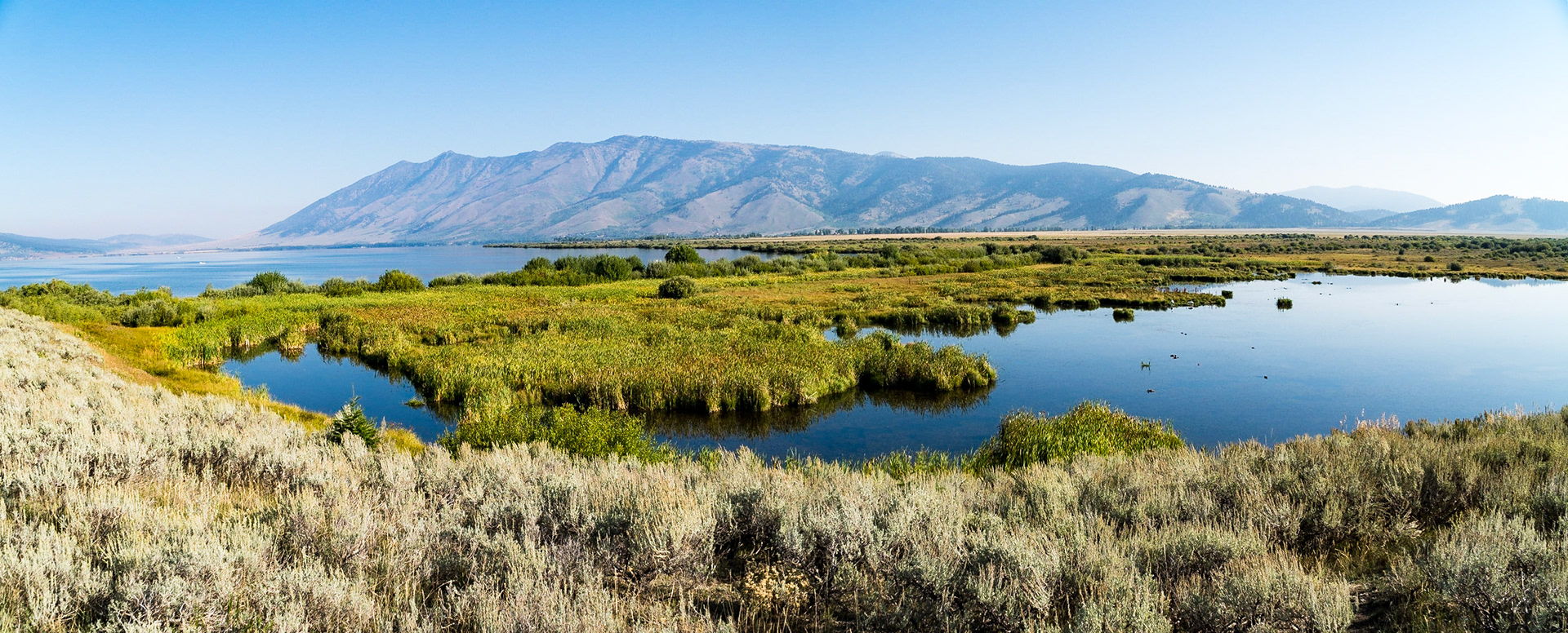 Henry's lake in Island Park, ID