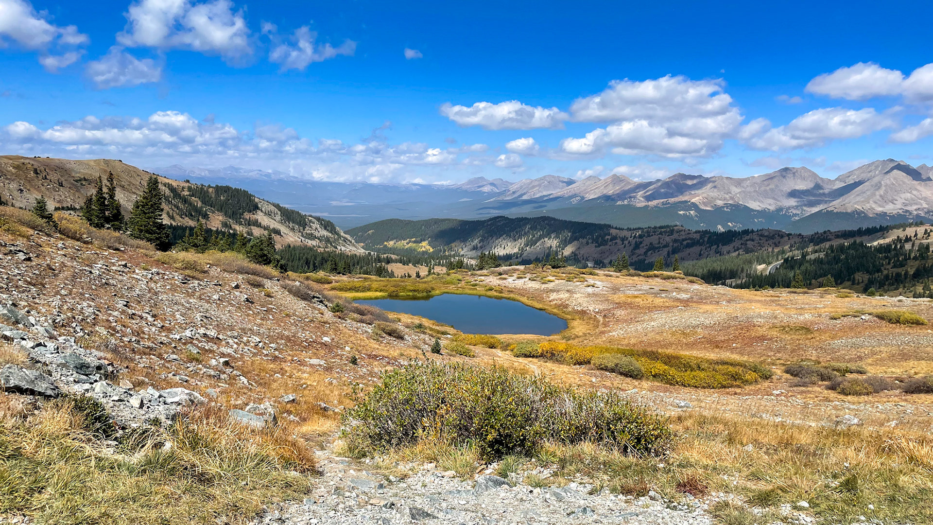 View from Cottonwood Pass at 12,000'