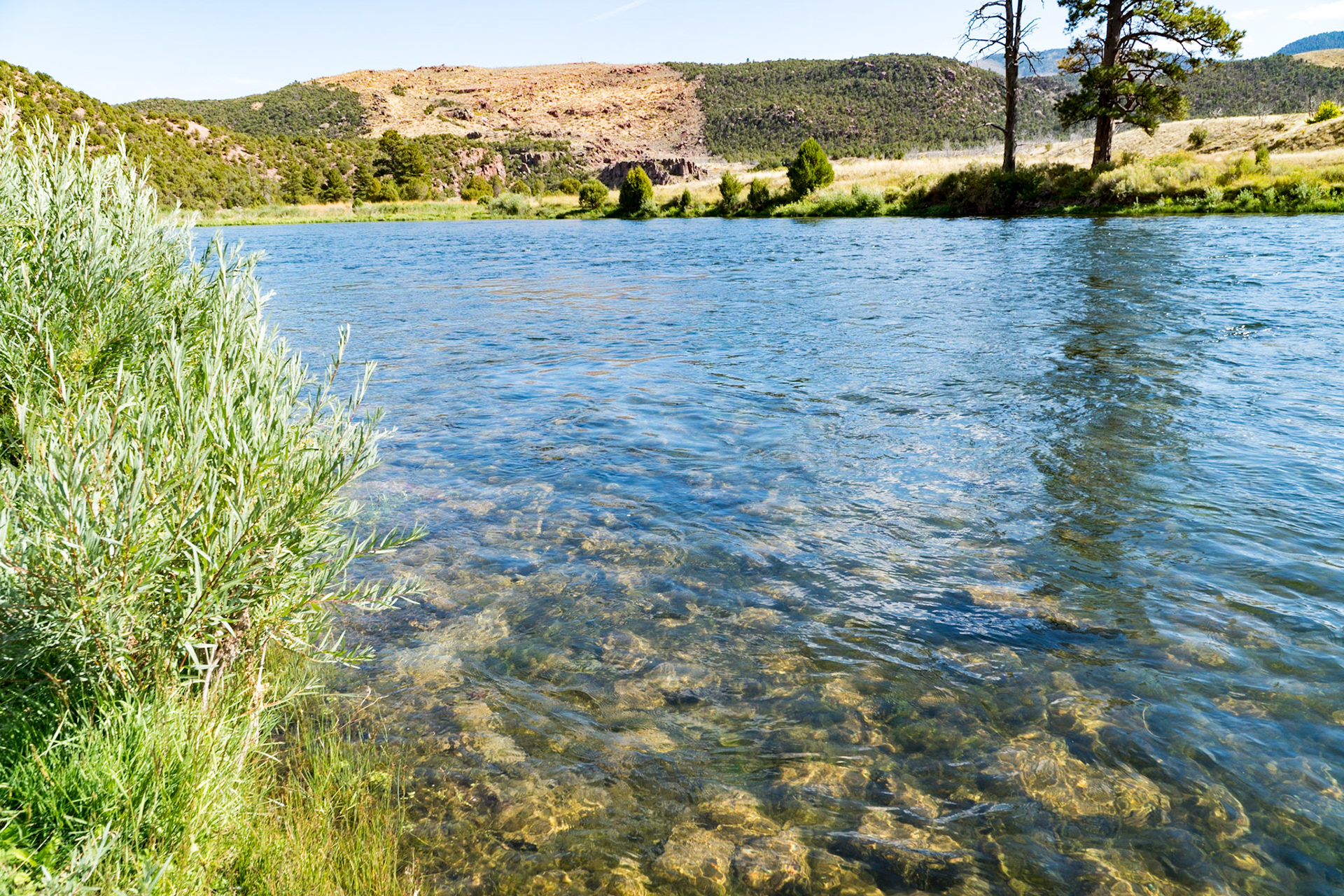 Green River at Little Hole