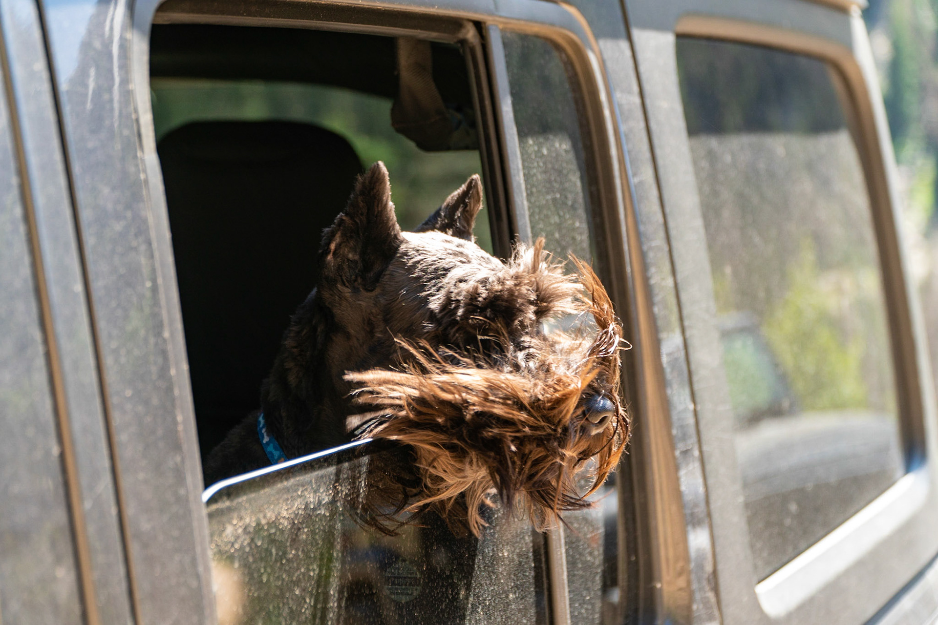 Tripp enjoying the jeep trail