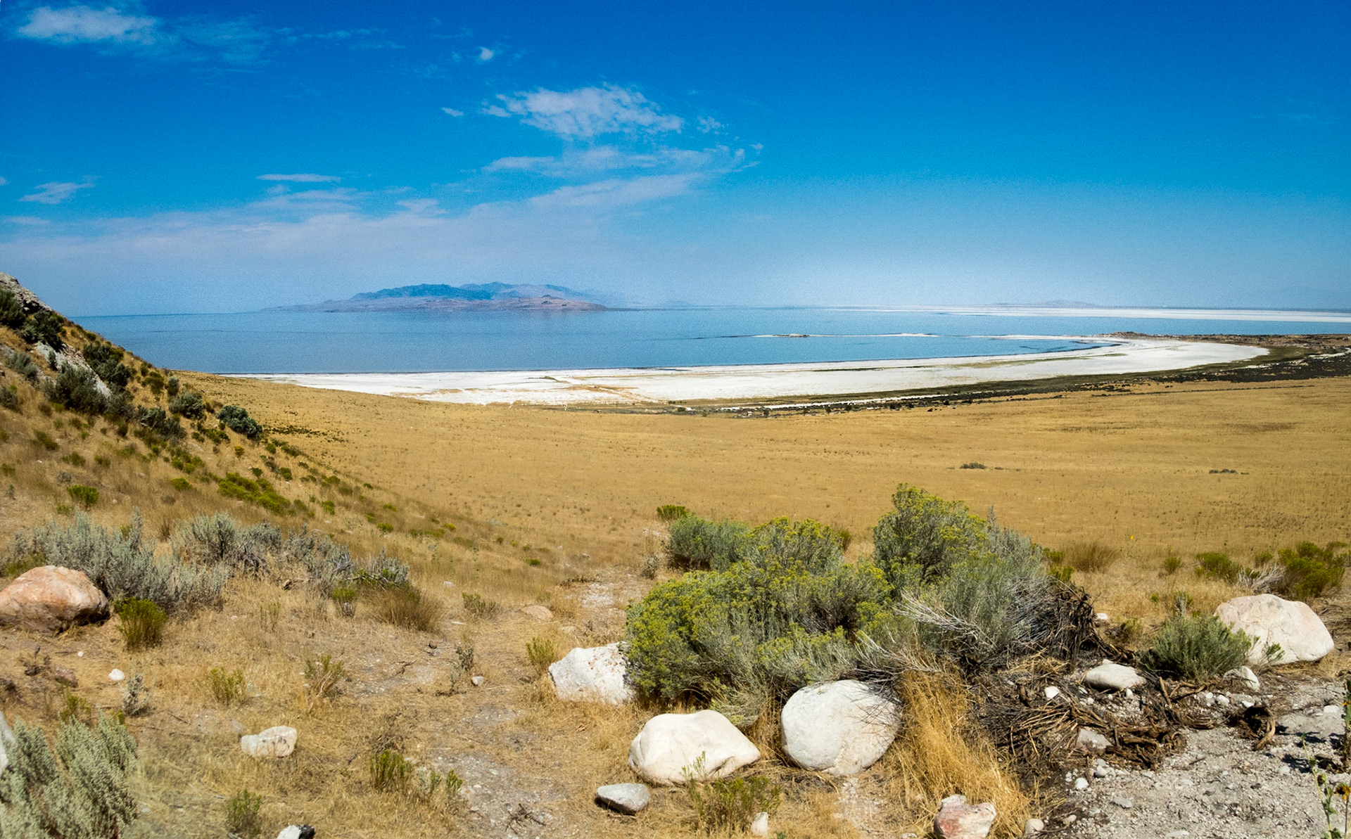 Lots of salt on the shores of Salt Lake