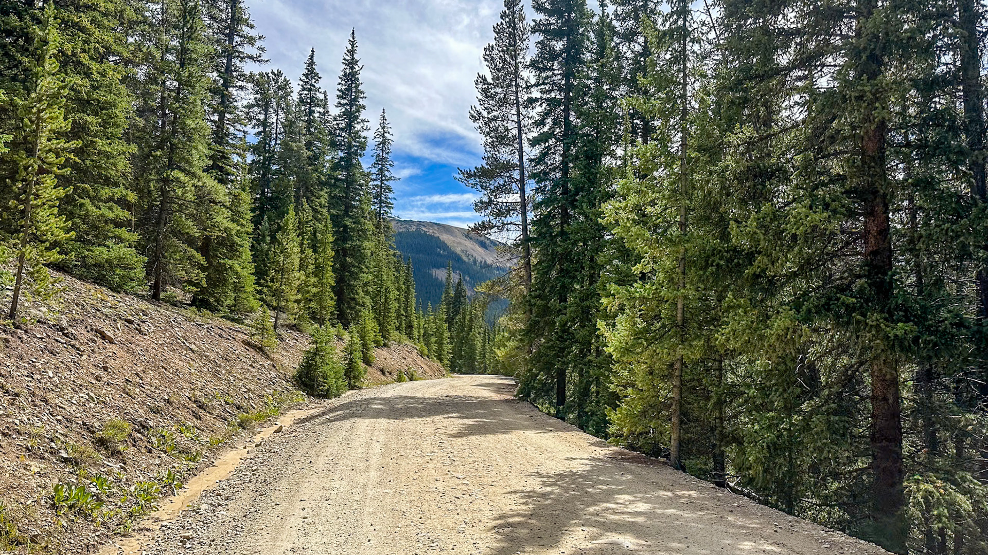 Down to the treeline
