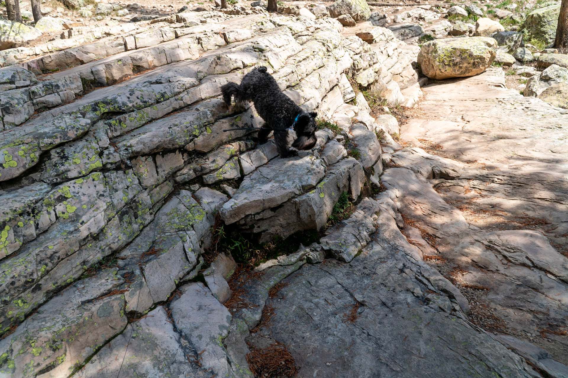 Tripp is fearless on the rocks