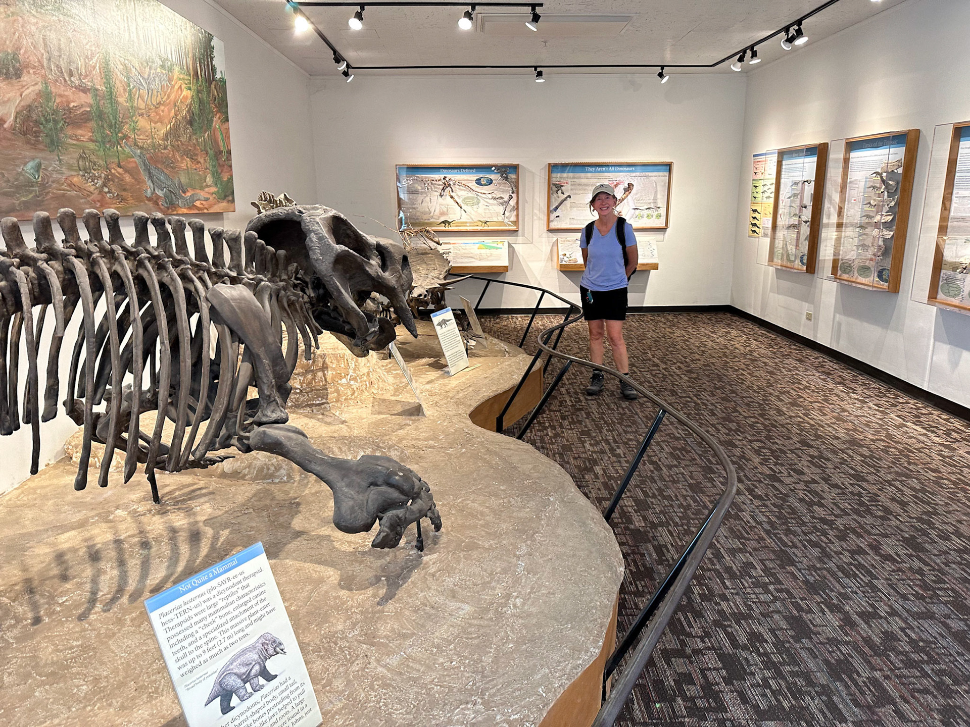 Rainbow Forest Museum has lots of dino exhibits