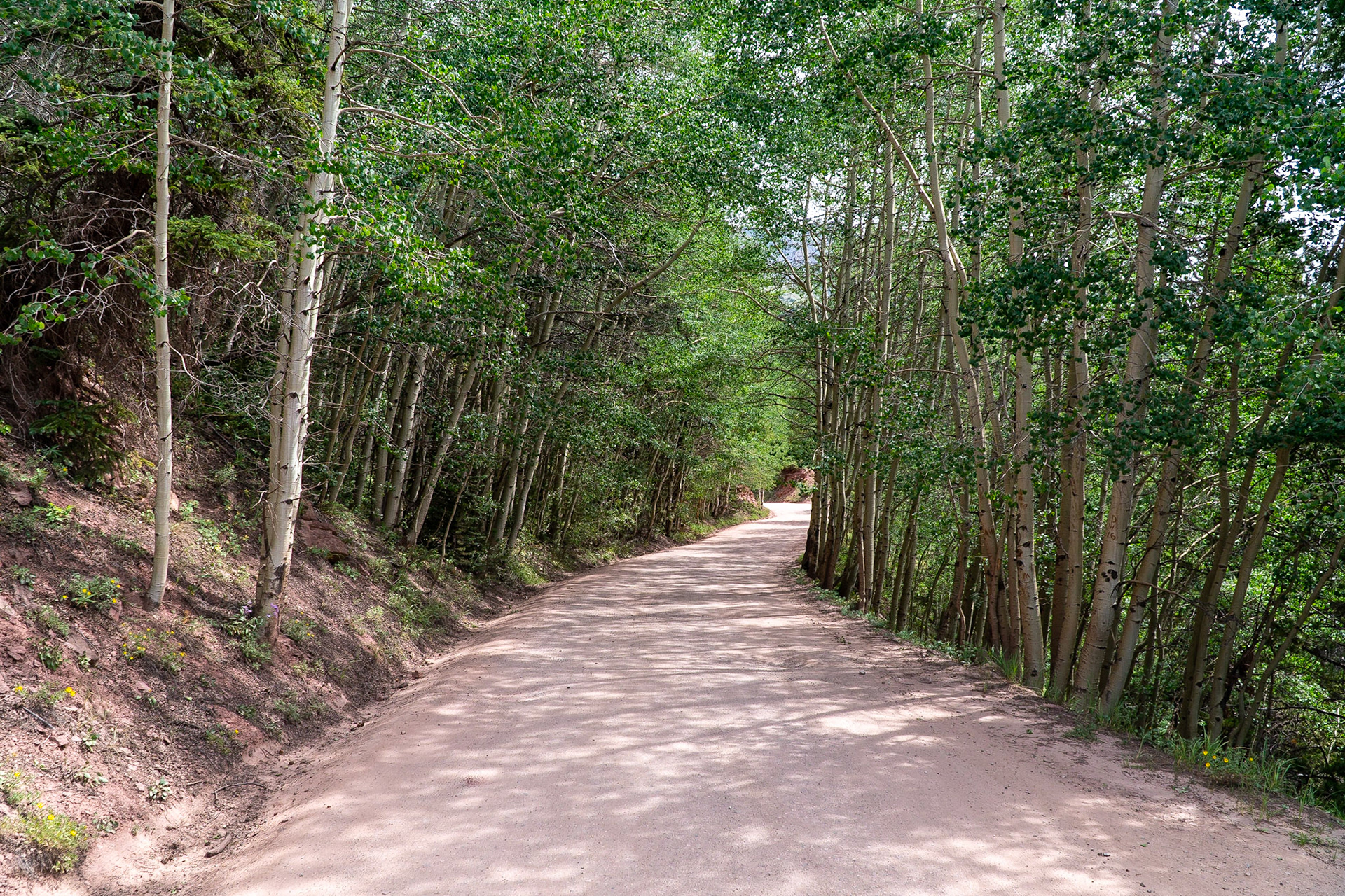 Boreas Pass Road