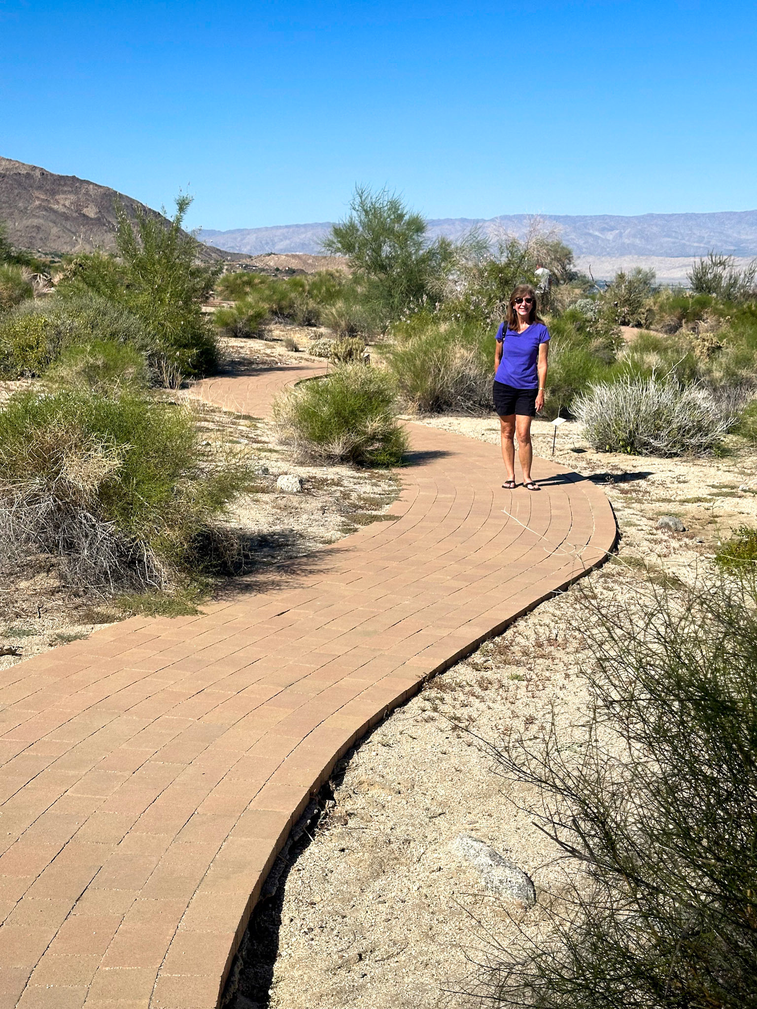 Our hike around the NM Visitor Center