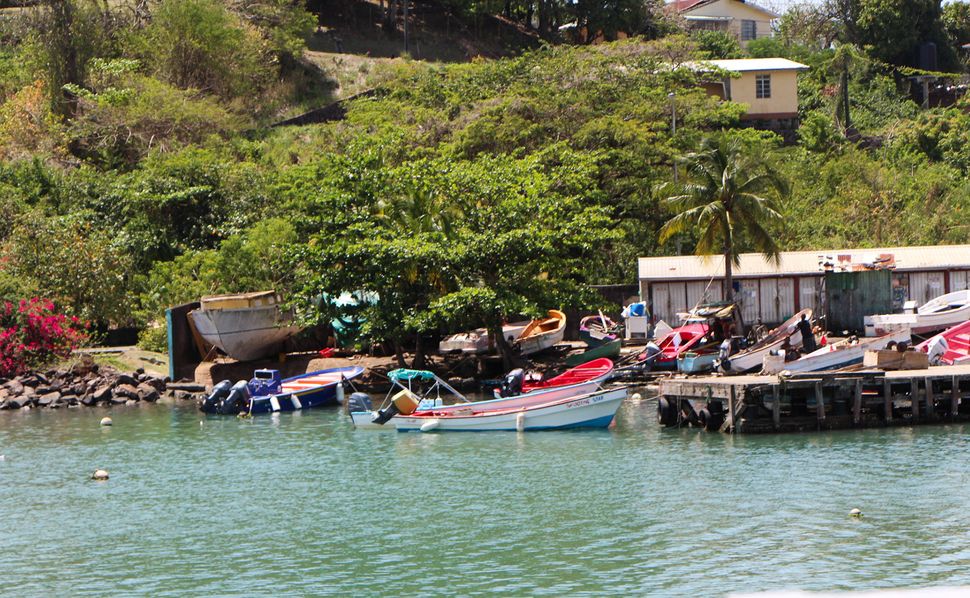 Harbor at Castries, St. Lucia