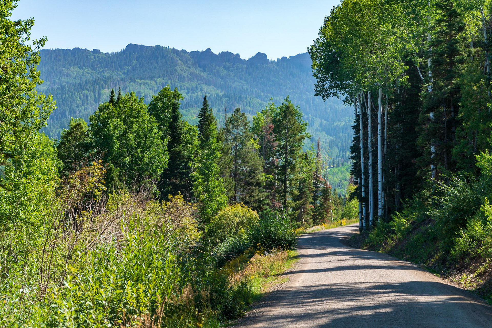 A curvy forest road leads to Owl Creek Pass