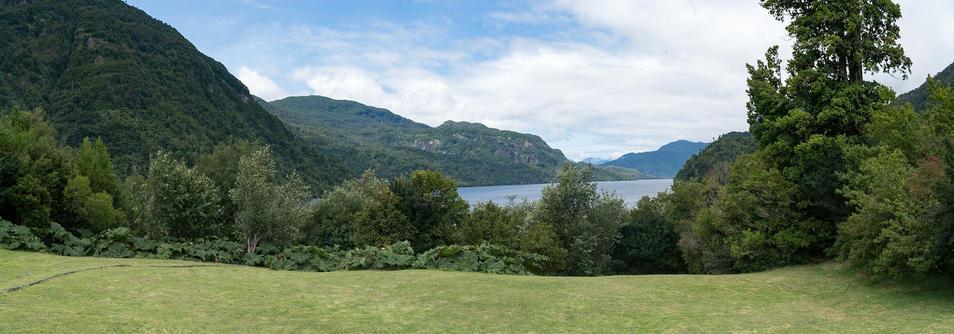 Aiken del Sur Park near Puerto Chacabuco