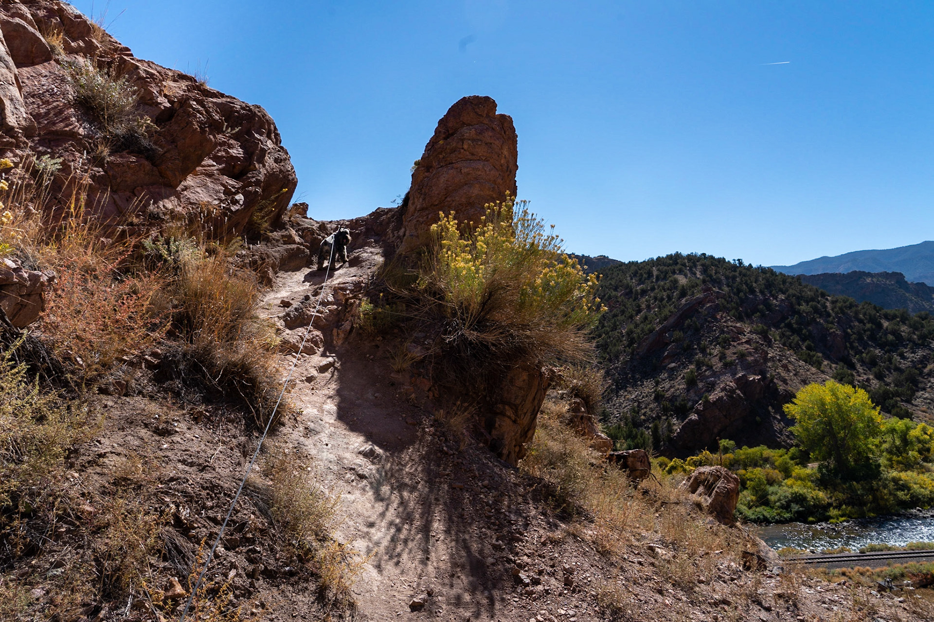 Tripp goes where we won't