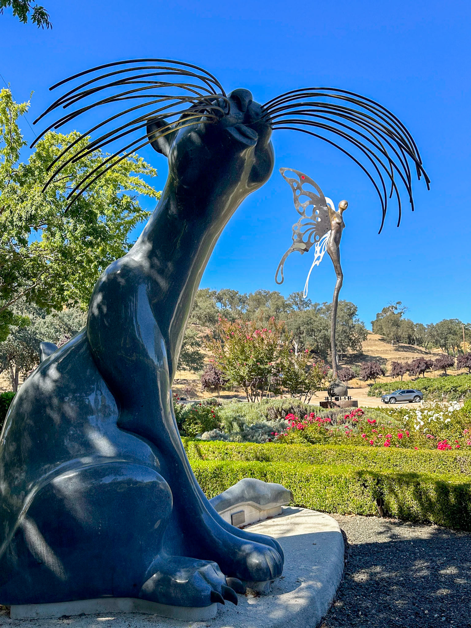 Sculpterra winery and vineyard