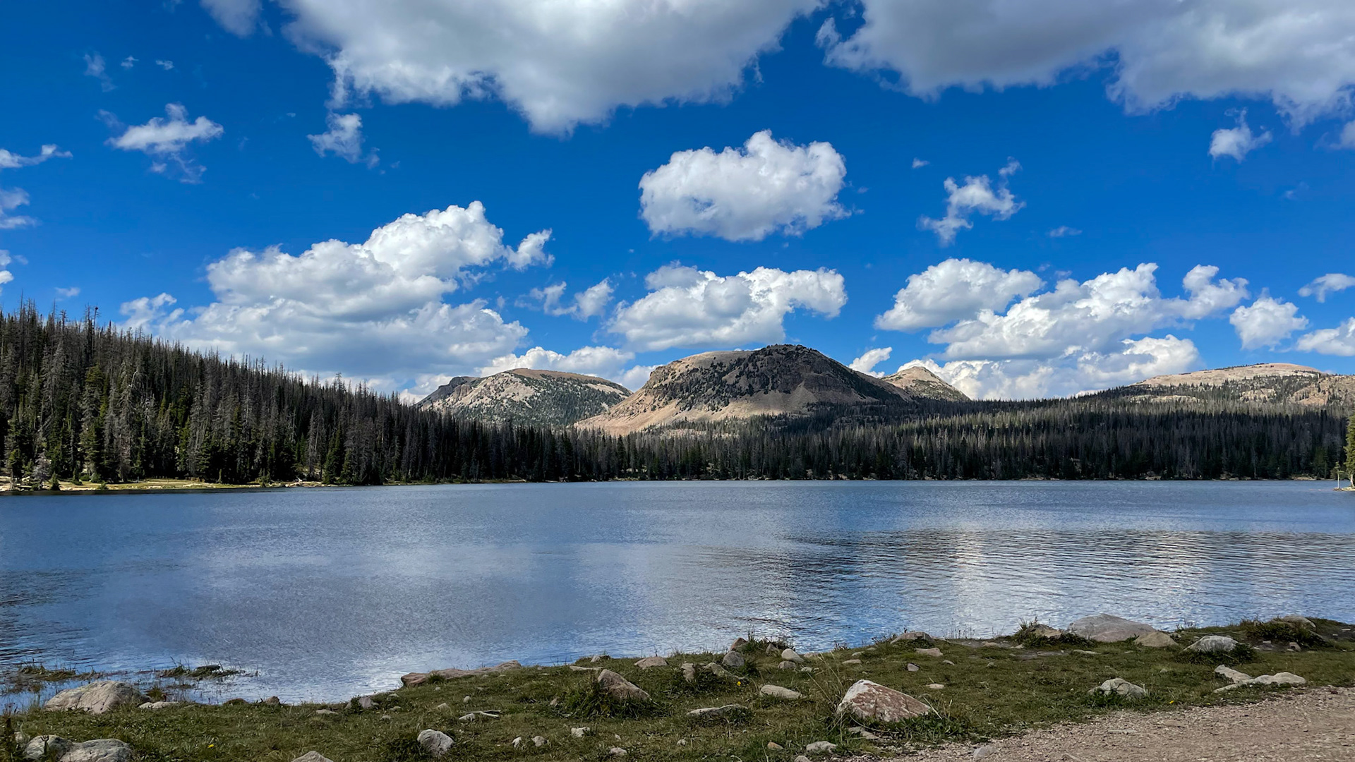 Along our hike around Mirror Lake