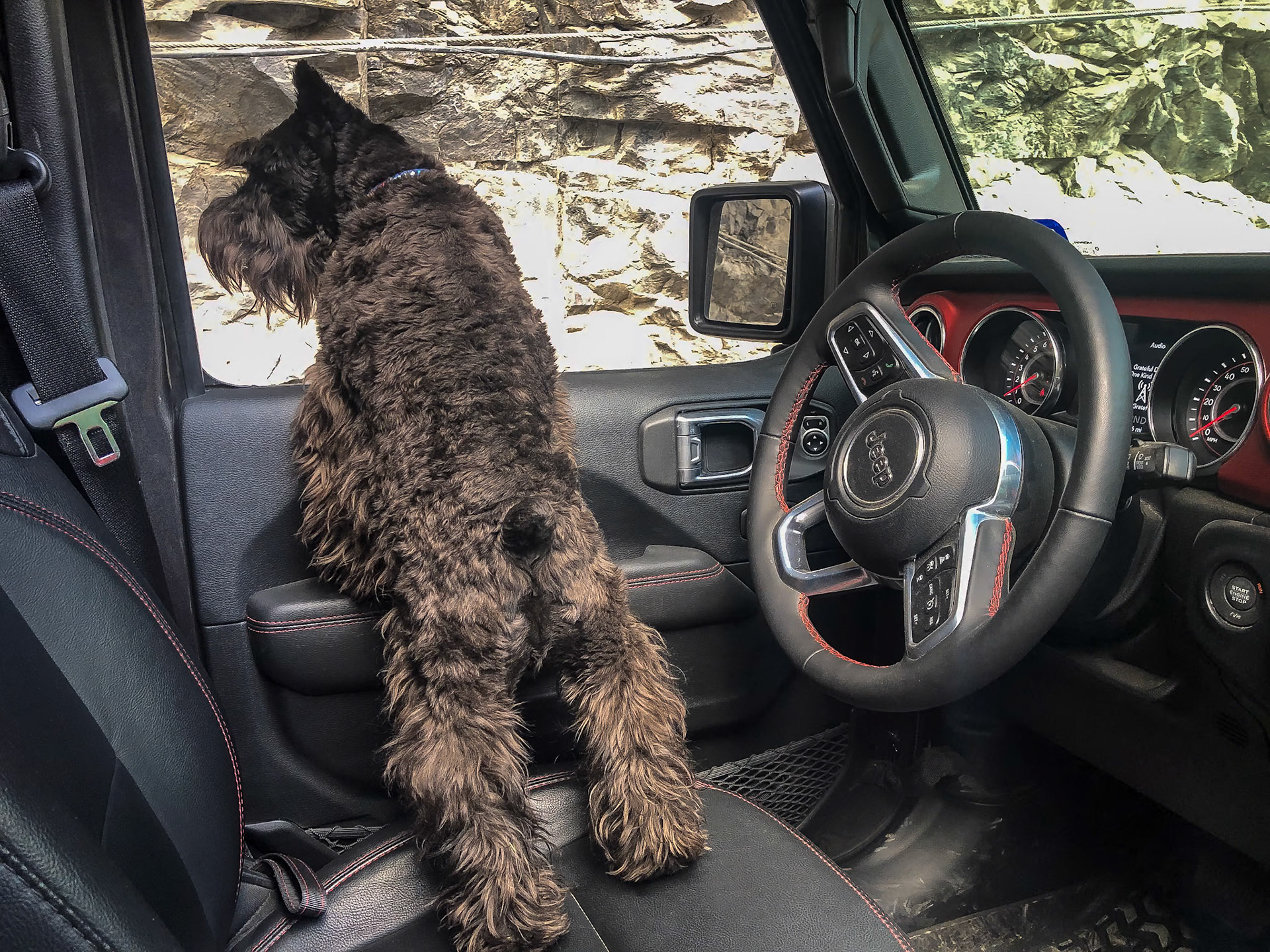 Tripp enjoying our off road excursions