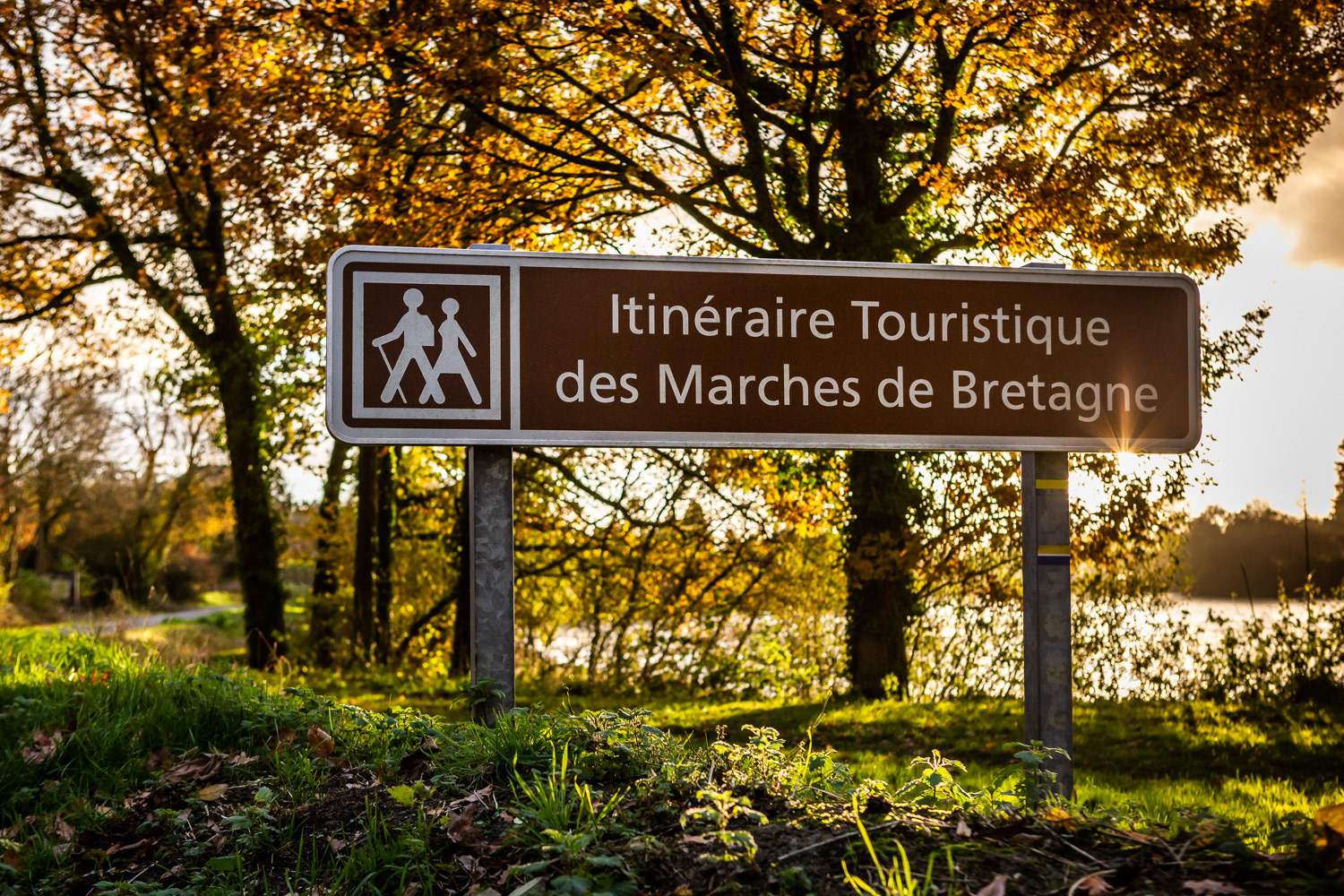 Châtillon-en-Vendelais - © Carole Bertaux - Tous droits réservés