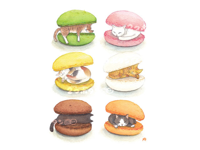 マカロン猫