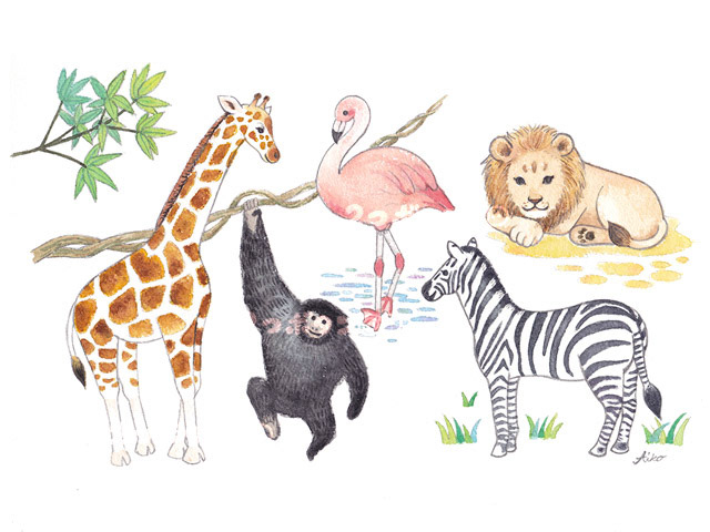 ZOO!
